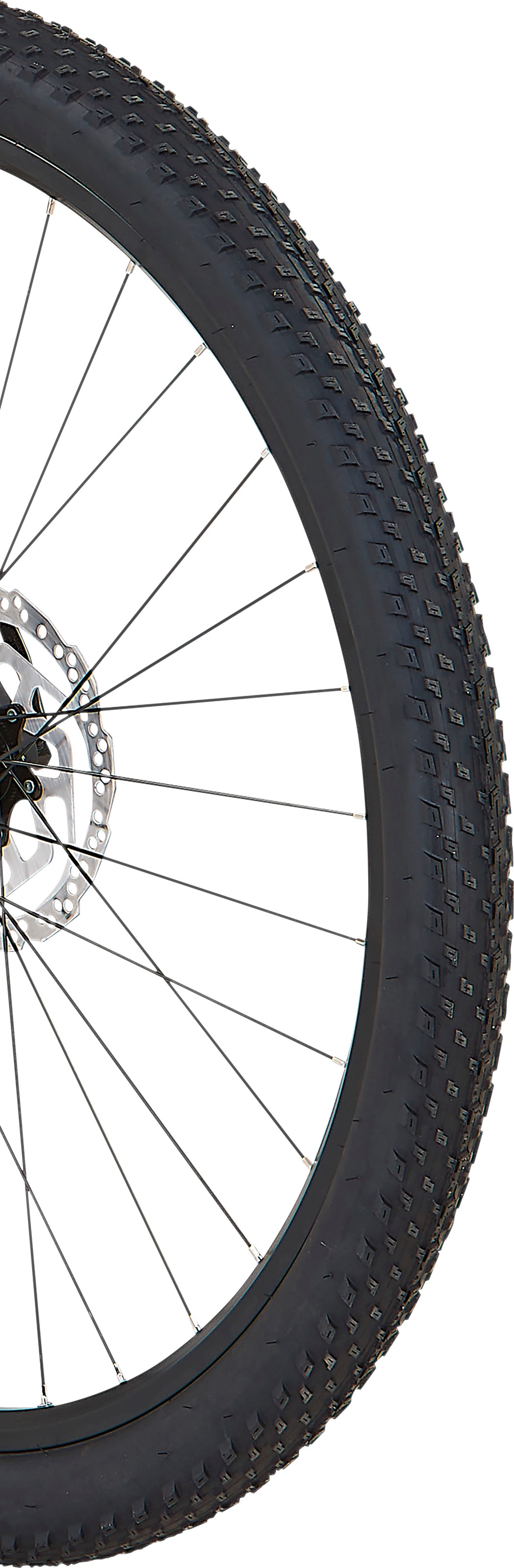 Prophete E-Bike »Dice 3.8«, 10 Gang, Shimano, Cues, Mittelmotor 250 W