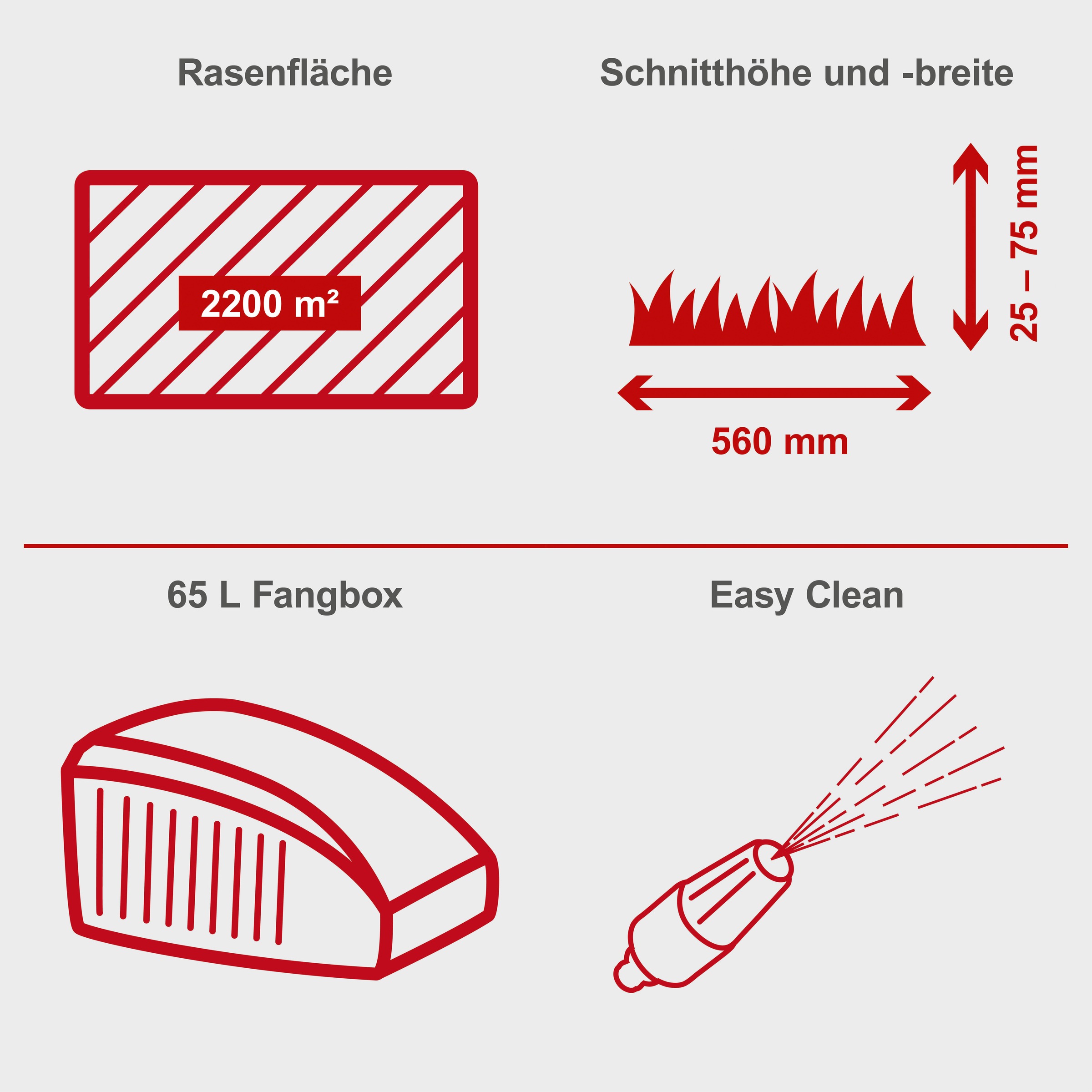 Scheppach Benzinrasenmäher »MS225-56«