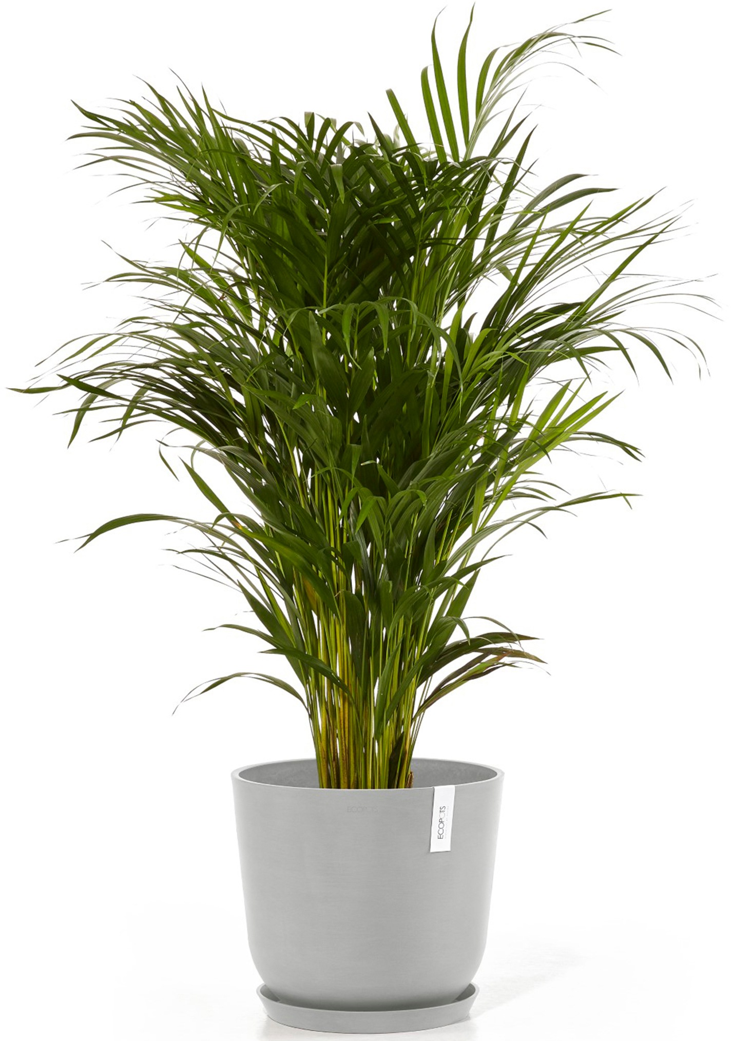 ECOPOTS Blumentopf »Oslo 35 + Wassersystem Weißgrau«, für innen und außen: frostsicher, bruchsicher und lichtbeständig