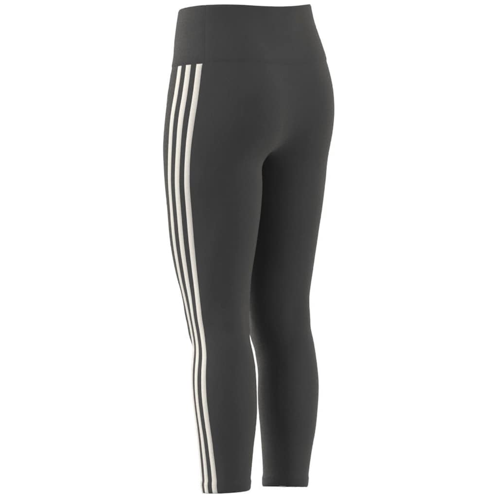 adidas Sportswear Trainingstights »ESSENTIALS AEROREADY 3STREIFEN HIGHWAISTED«, (1 tlg.)