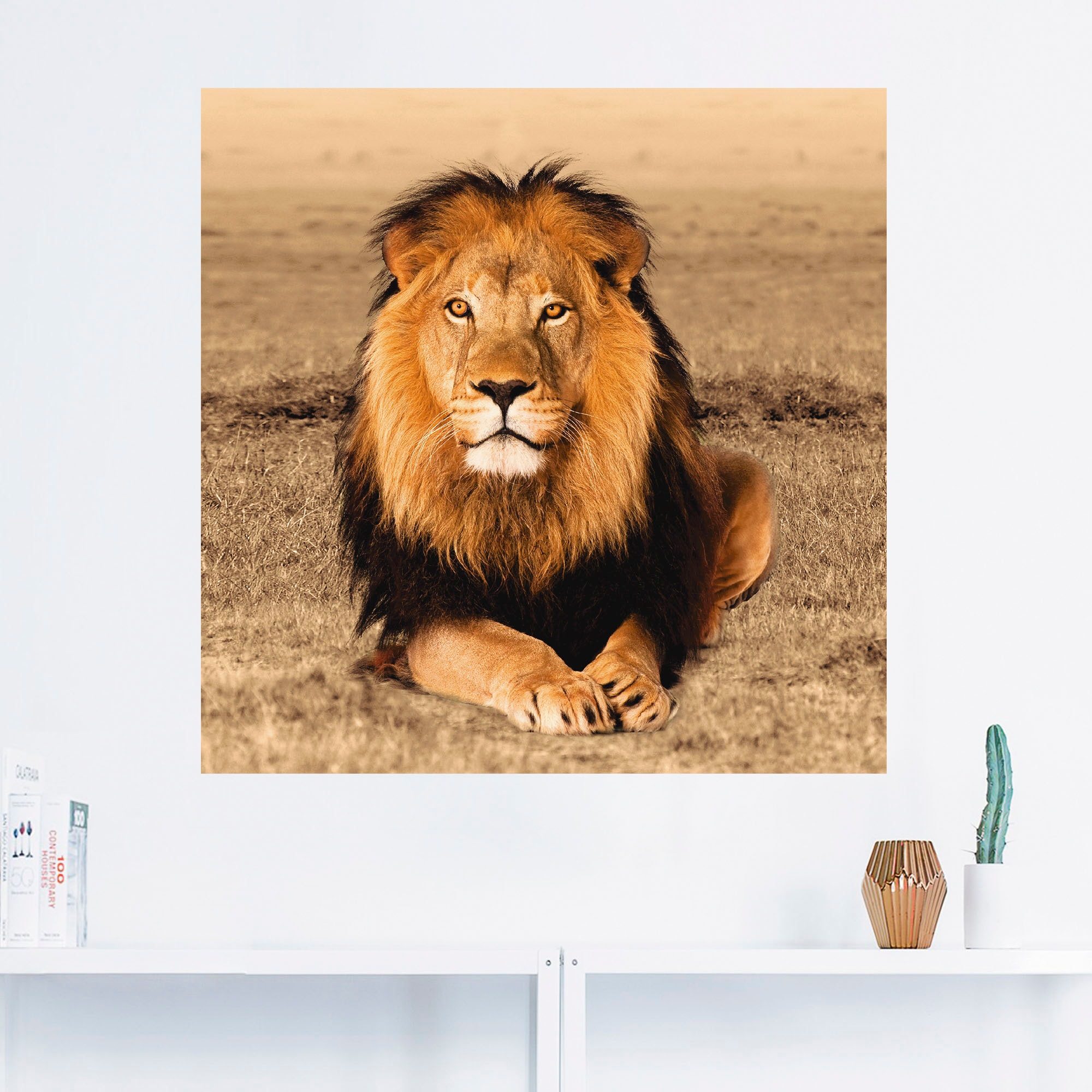 Artland Wandbild »Löwe«, in kaufen Leinwandbild, Wandaufkleber Alubild, Poster als | BAUR versch. Wildtiere, (1 St.), oder Größen