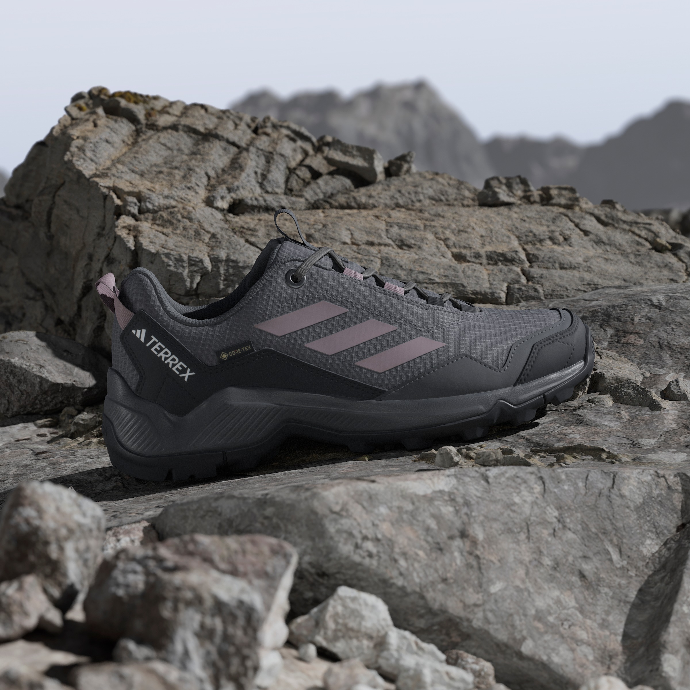 adidas TERREX Wanderschuh »TERREX EASTRAIL GORE-TEX«