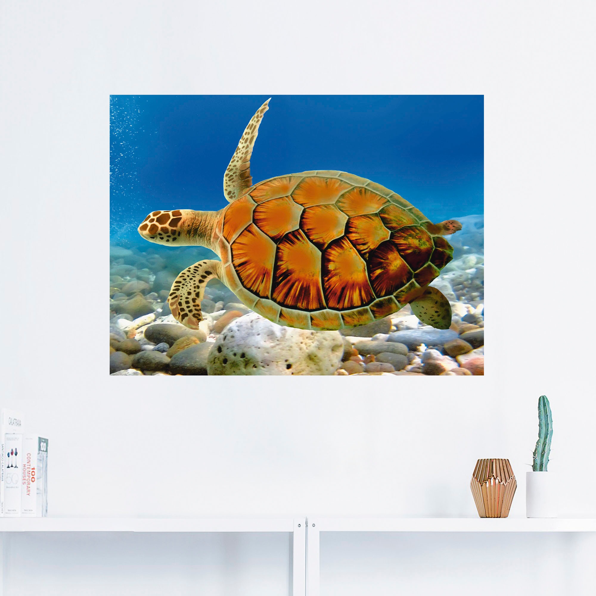 Artland Wandbild »Schildkröte«, Wassertiere, (1 St.), als Leinwandbild, Poster, Wandaufkleber in verschied. Größen