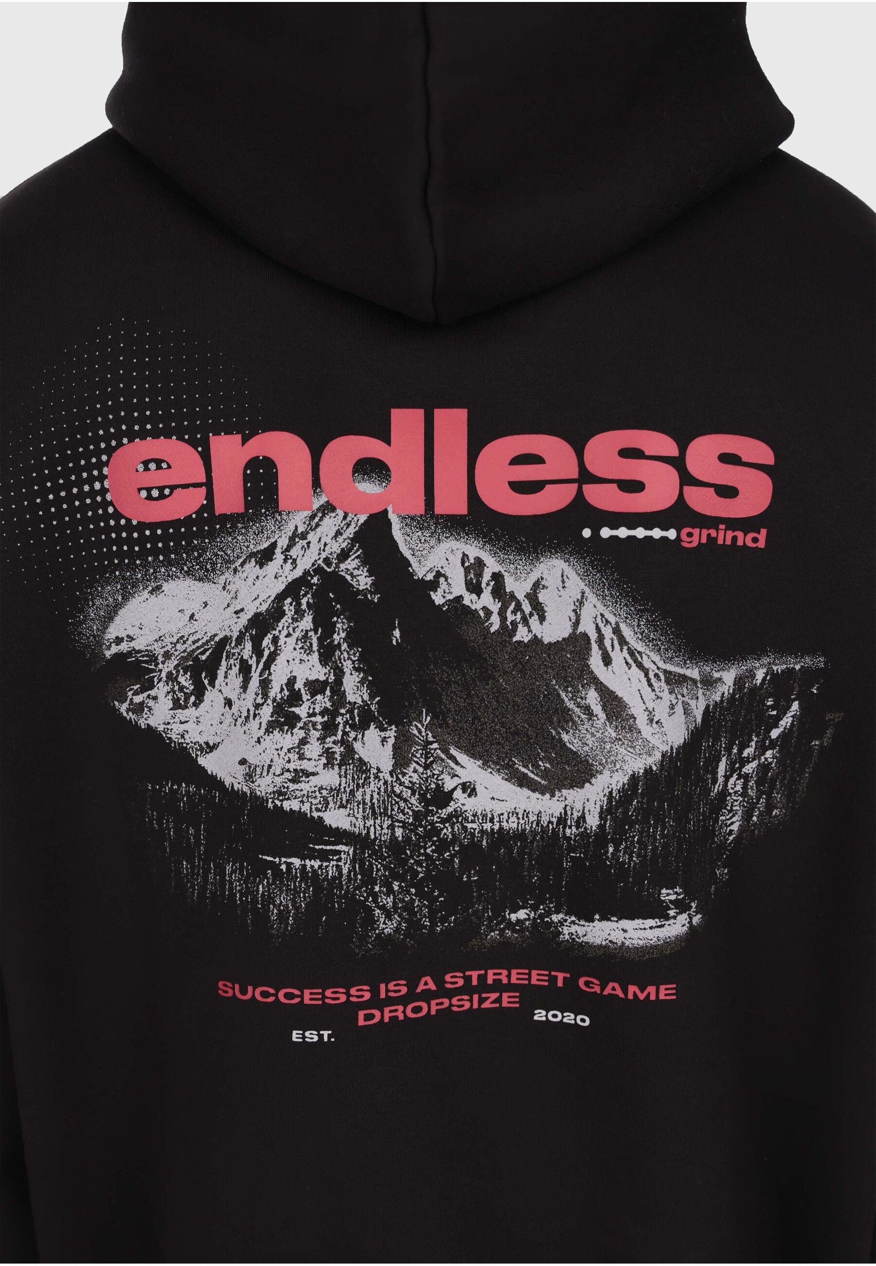 Dropsize Kapuzenpullover »Dropsize GRIND HOODIE« 1 Stk.