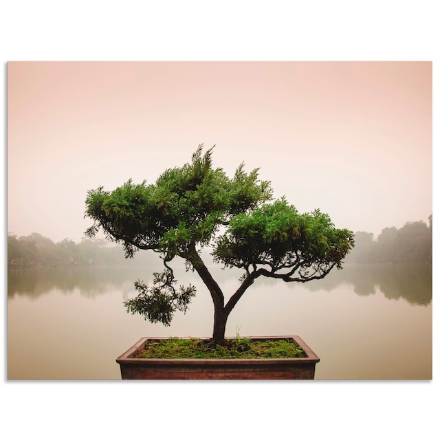 Artland Wandbild »Chinesischer Bonsaibaum«, Bäume, (1 St.), als Alubild,  Leinwandbild, Wandaufkleber oder Poster in versch. Größen kaufen | BAUR
