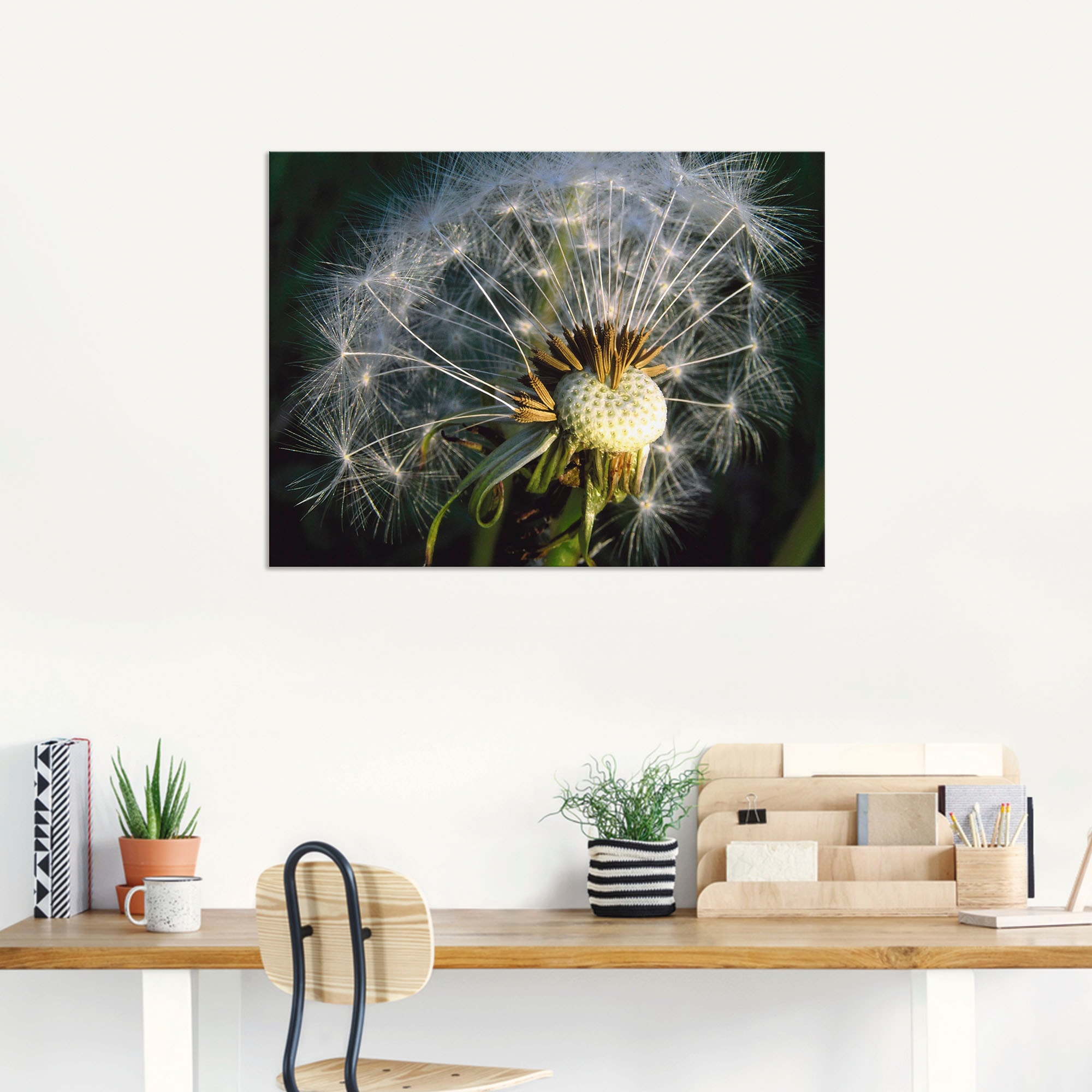 Artland Poster »Pusteblume«, Blumen, (1 St.), als Alubild, Leinwandbild, Wandaufkleber oder Poster in versch. Größen