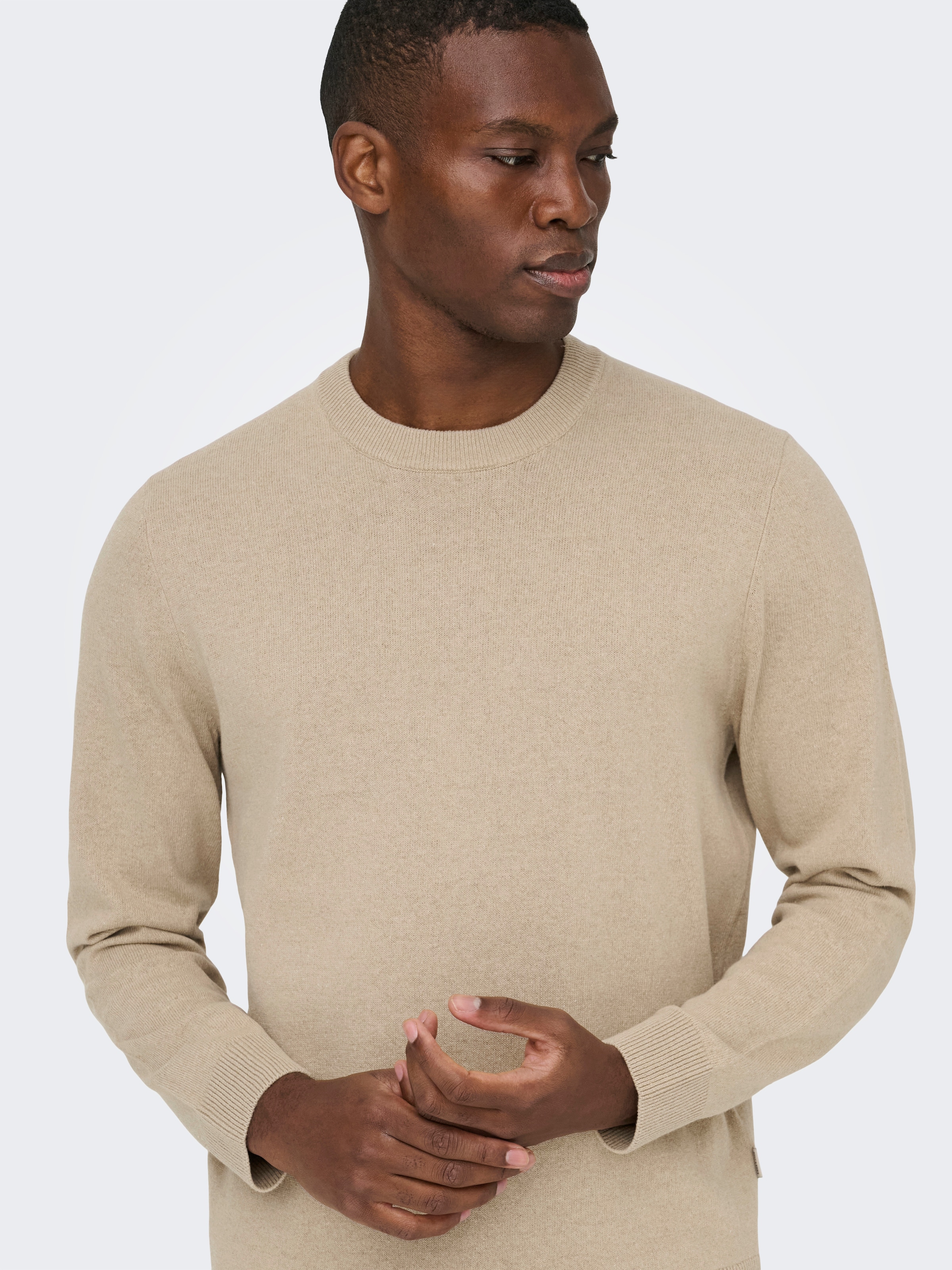 ONLY & SONS Rundhalspullover »ONSREX LIFE REG 12 CREW KNIT«