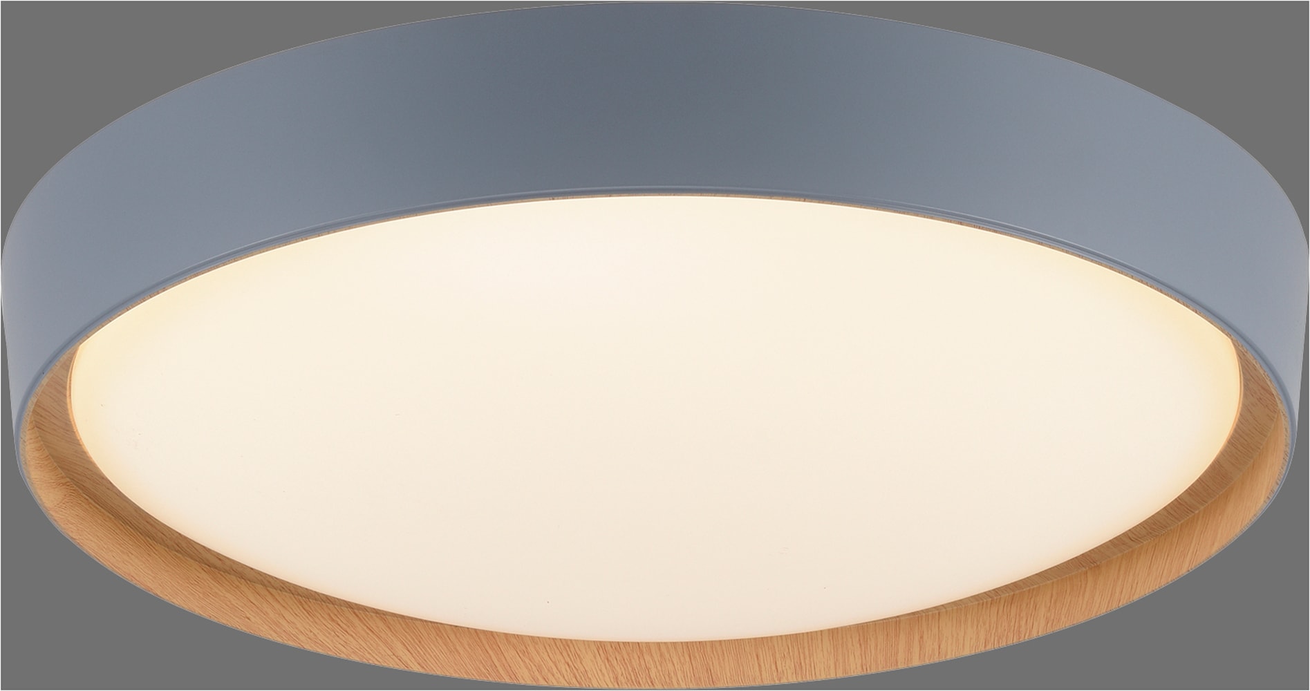 Neuhaus Q SMART HOME LIGHTS LED Deckenleuchte »Q-EMILIA« LED-Board 1 Stk. warmweiß - kaltweiß