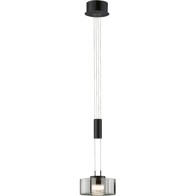 1 HONSEL | langlebige LED, BAUR Pendelleuchte dimmbar flammig-flammig, FISCHER »Lavin«, &