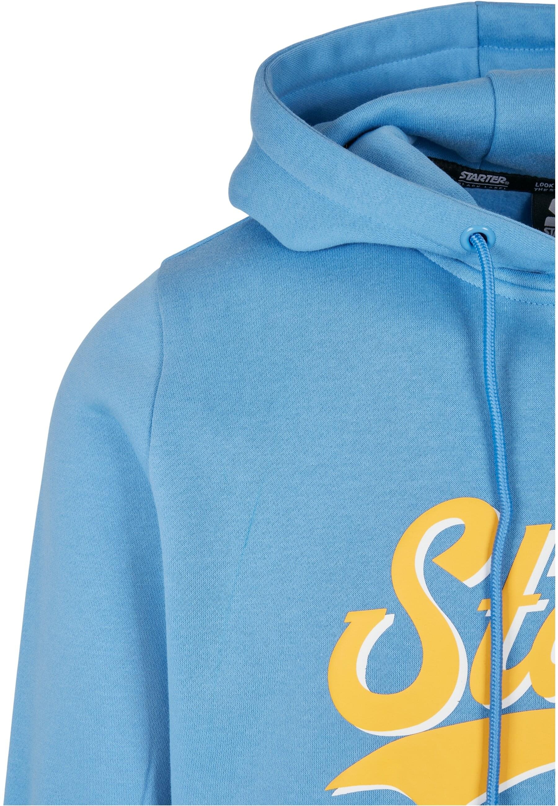 Starter Black Label Kapuzensweatshirt »Starter Black Label Herren Starter Swing Hoody«, (1 tlg.)