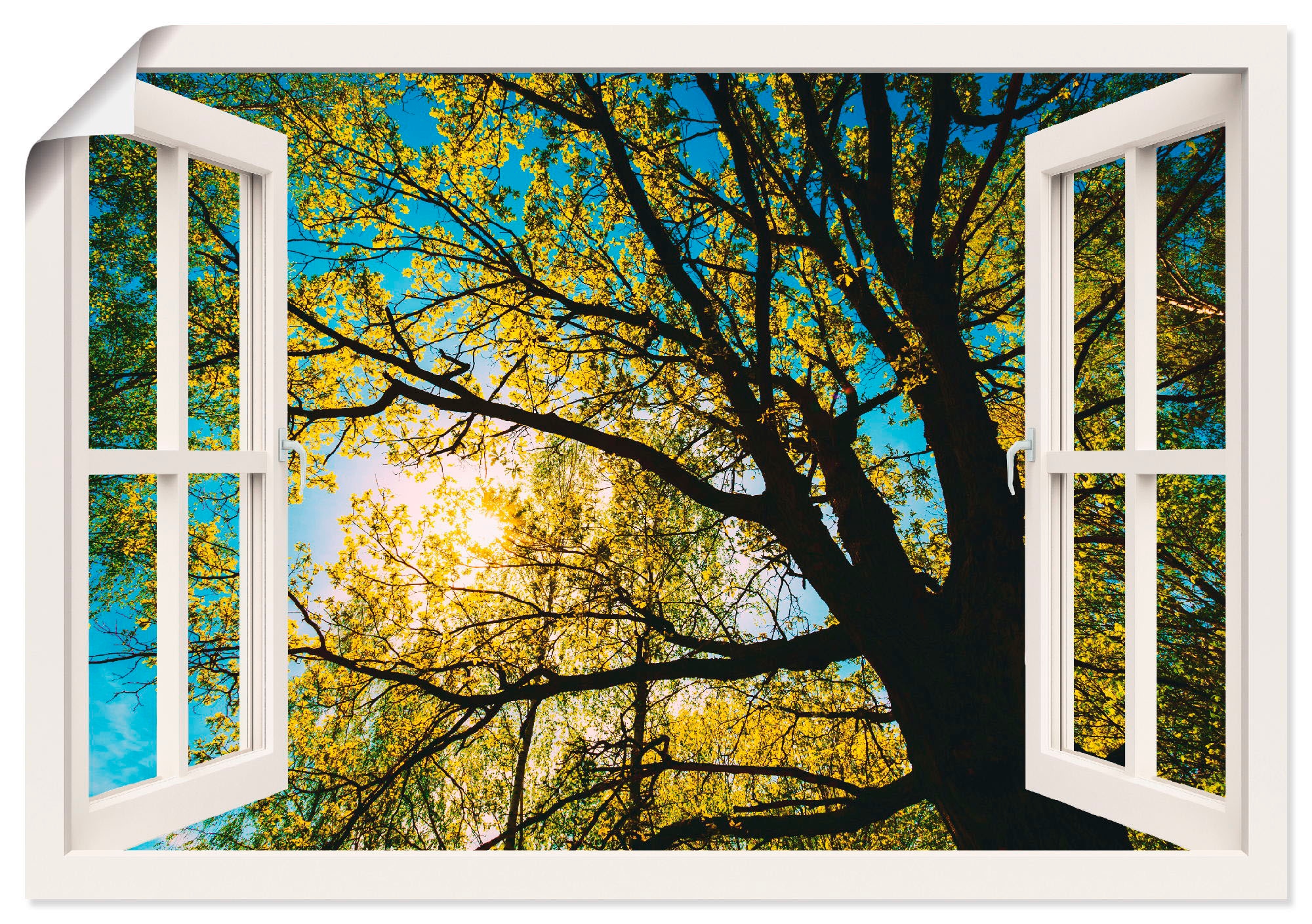 Artland Wandbild »Fensterblick Frühlingssonne Baumkrone«, Bäume, (1 St.),  als Alubild, Leinwandbild, Wandaufkleber oder Poster in versch. Größen  kaufen | BAUR
