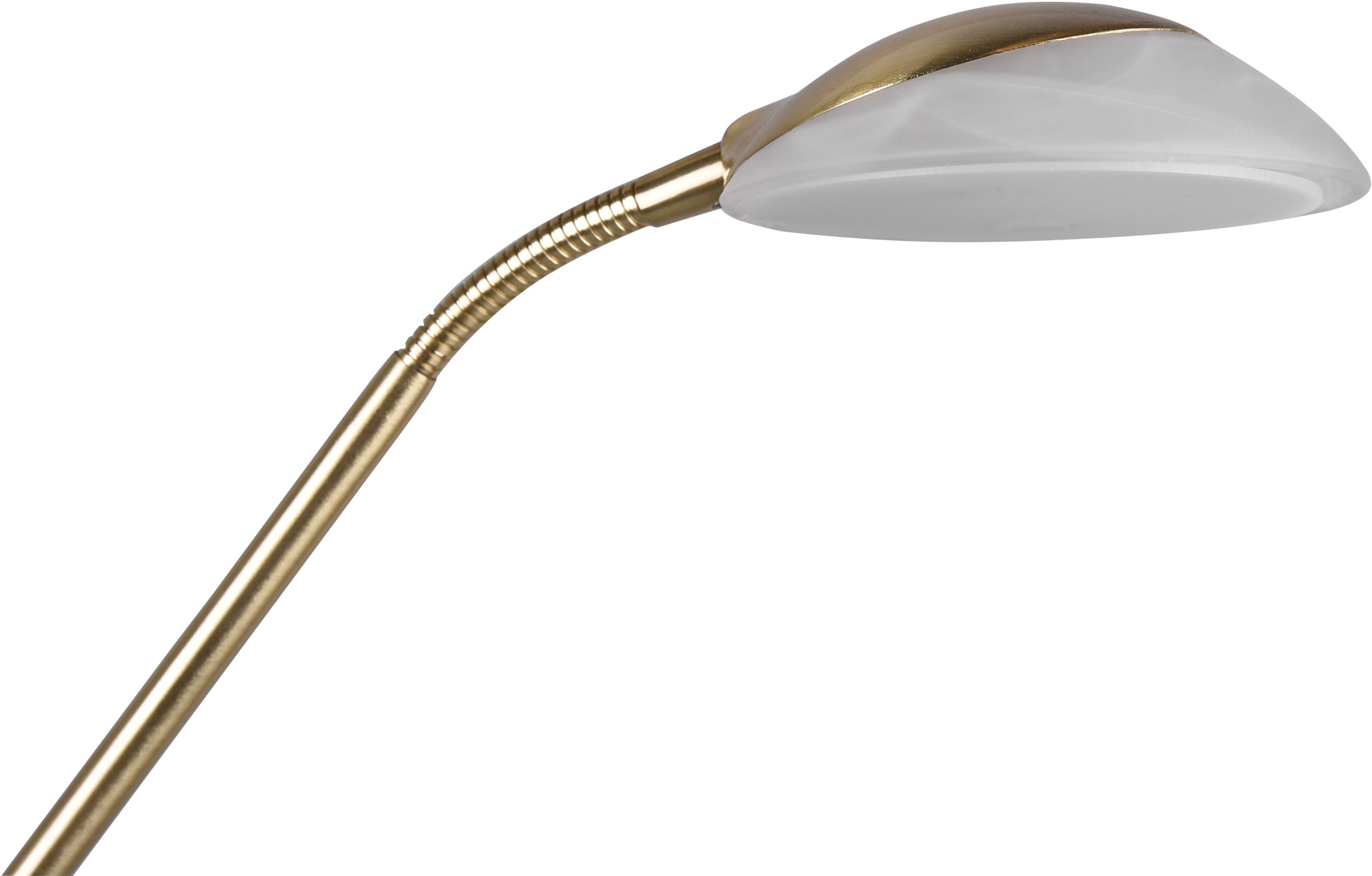 Leuchten TRIO 1 Getrennt flammig-flammig, »Orson«, LED Stehlampe Dimmer,Memory | Funktion schaltbar,integrierter BAUR