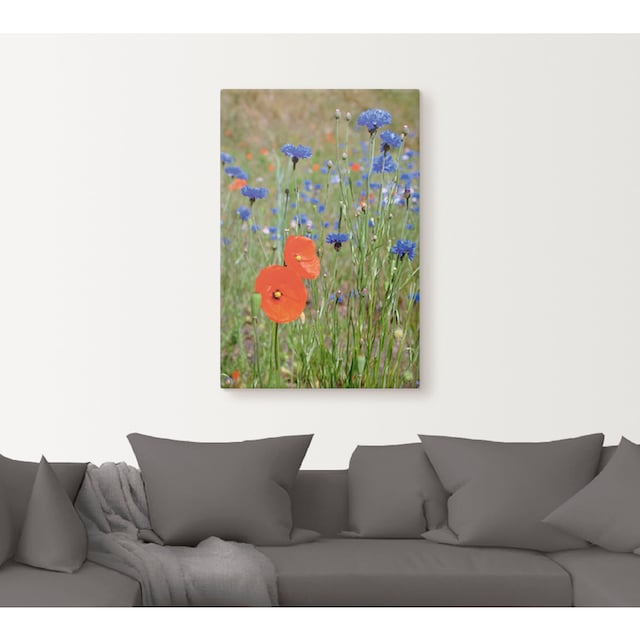 Artland Wandbild »Wiese mit Mohnblumen und Kornblumen«, Blumen, (1 St.),  als Alubild, Leinwandbild, Wandaufkleber oder Poster in versch. Größen  kaufen | BAUR