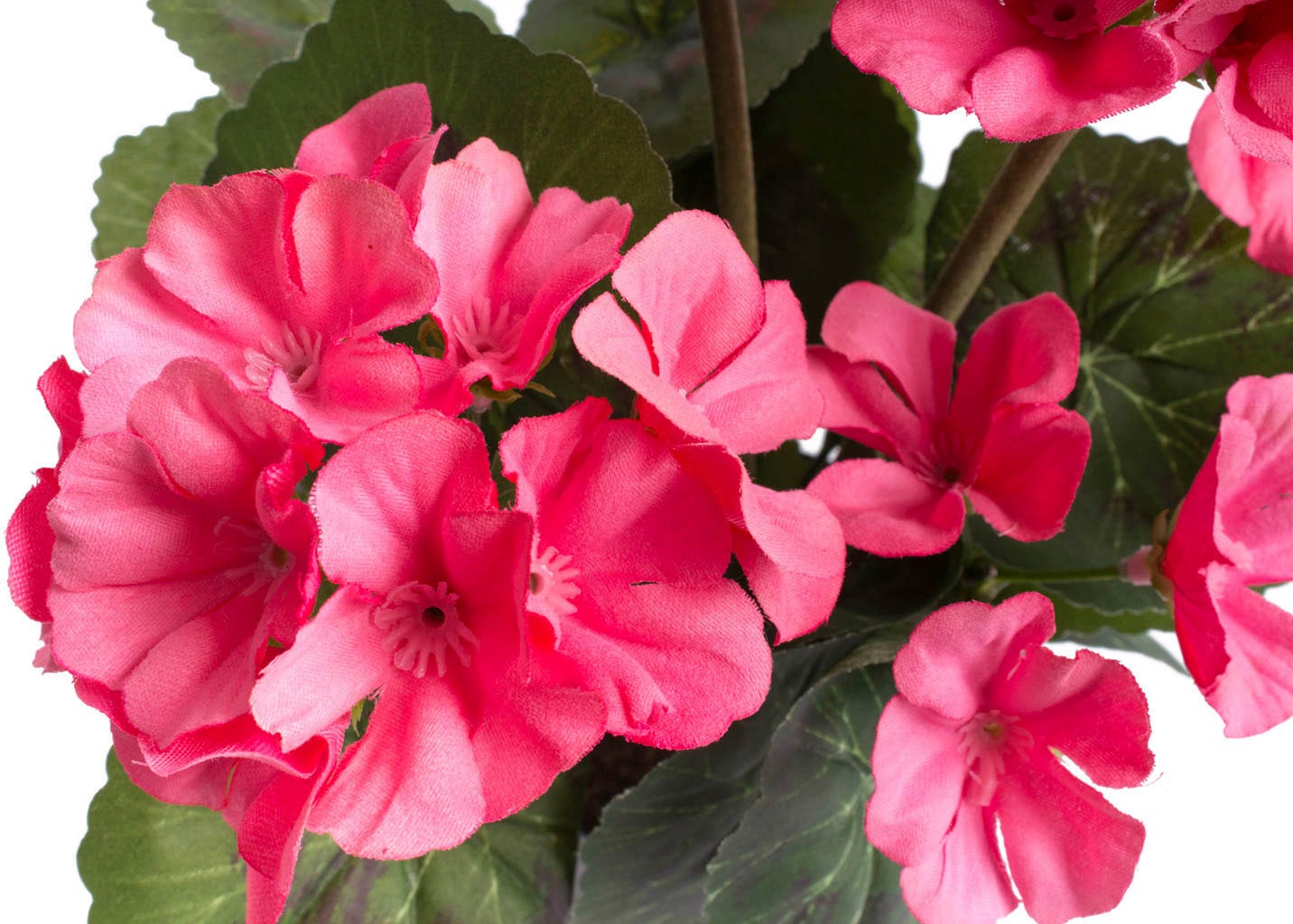 Botanic-Haus Kunstblume »Geranienbusch mit 6 Blütenköpfen«