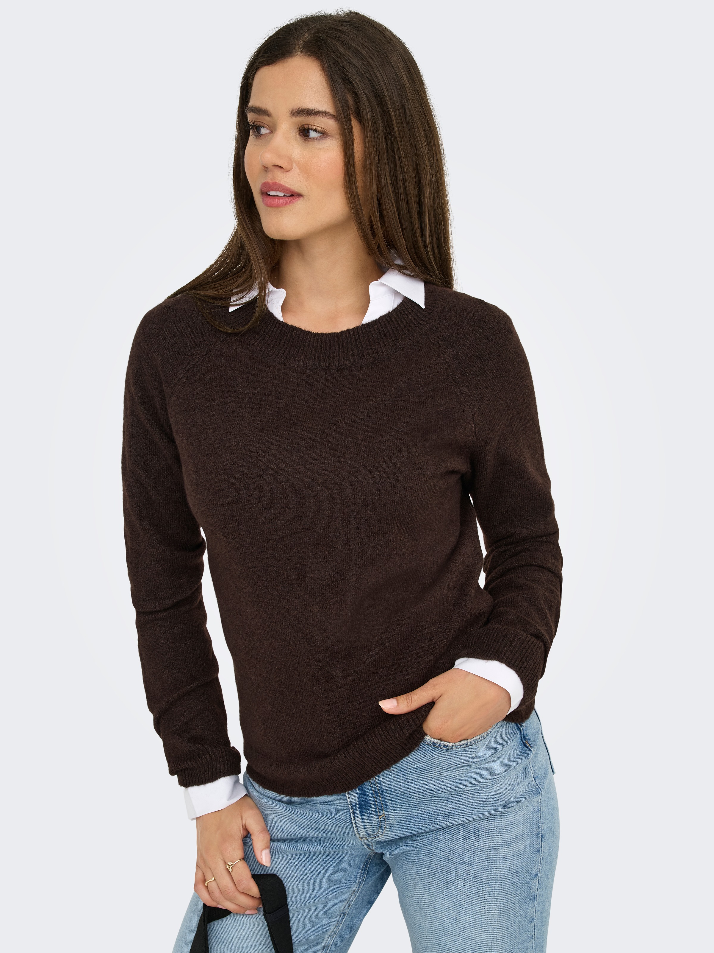 ONLY Rundhalspullover "ONLRICA LIFE L/S PULLOVER KNT NOOS" günstig online kaufen