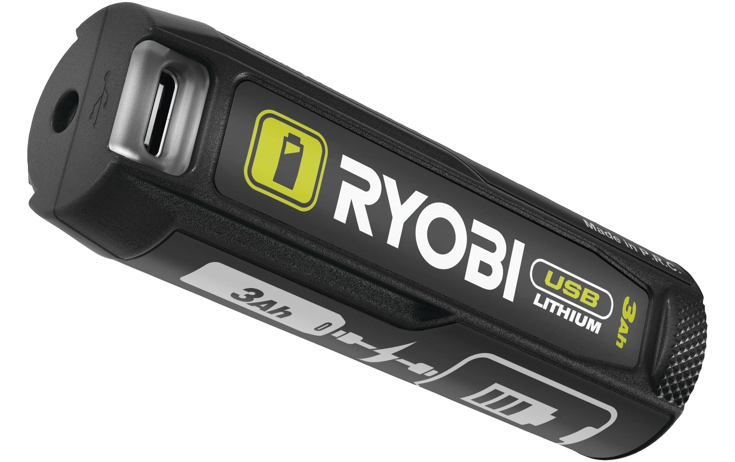 RYOBI Akku »RB4L30 4 V, 3.0 Ah«
