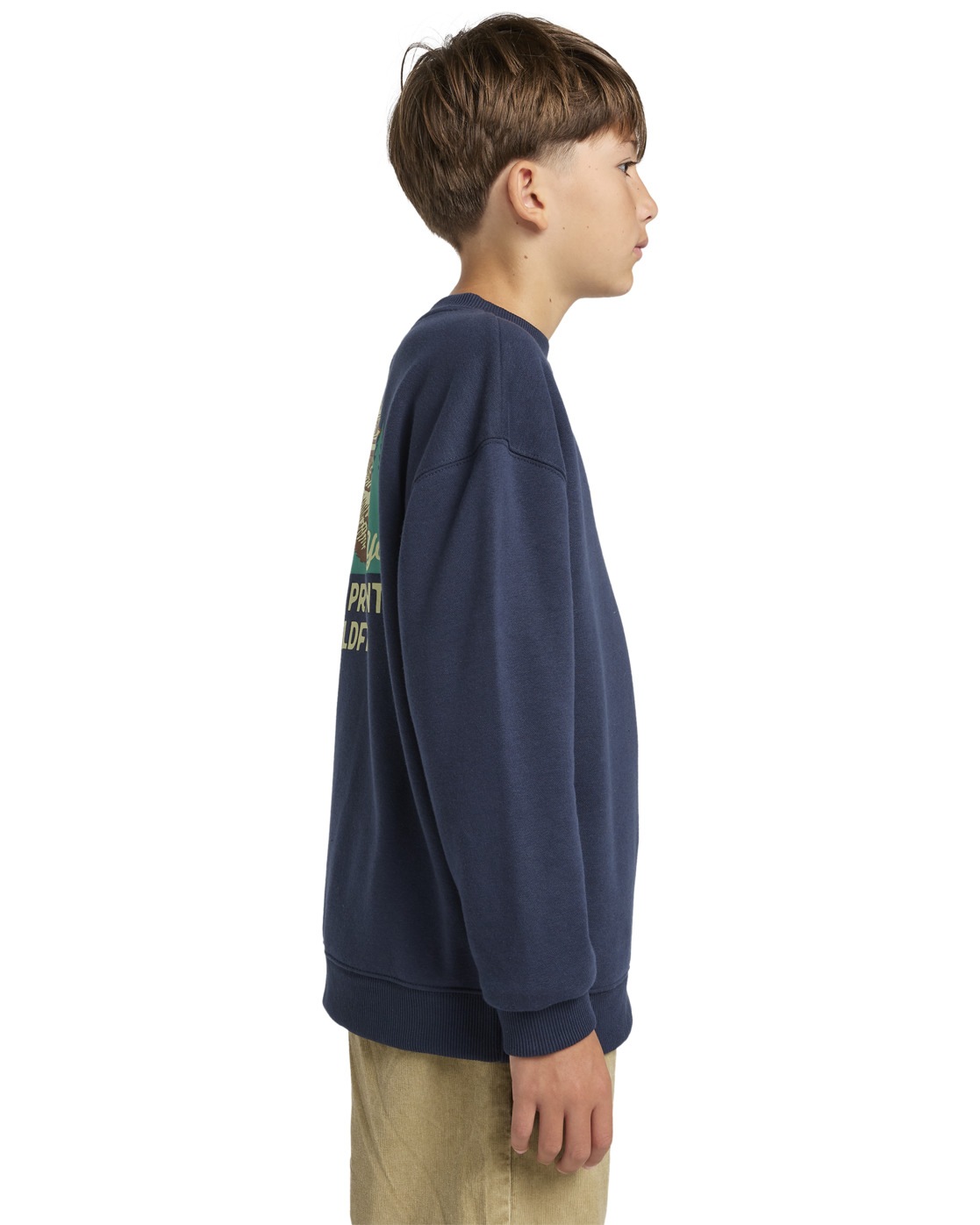 Element Sweatshirt »Smokey Bear x Element Wildfires«