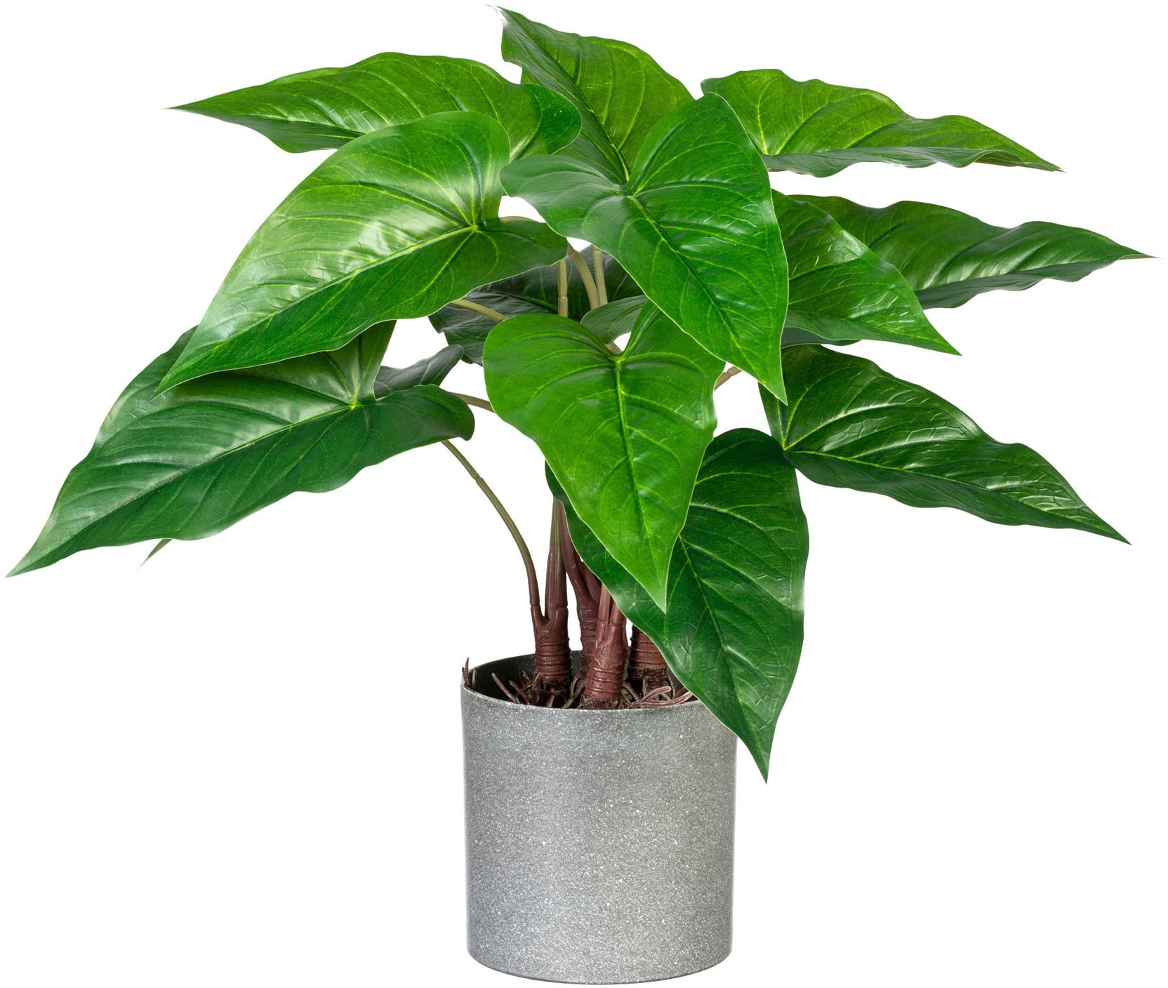 Creativ green Künstliche Zimmerpflanze im BAUR | kaufen »Anthurium«, Melamintopf