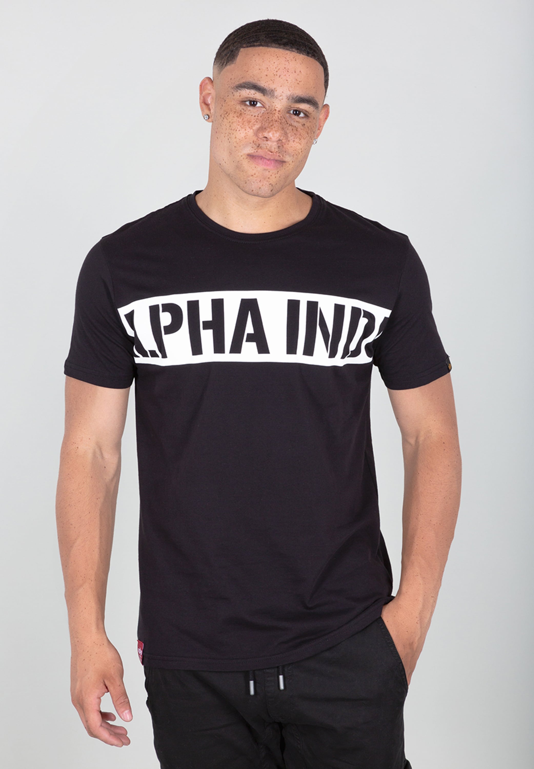 Alpha Industries T-Shirt "Printed Stripe T-Shirt" günstig online kaufen