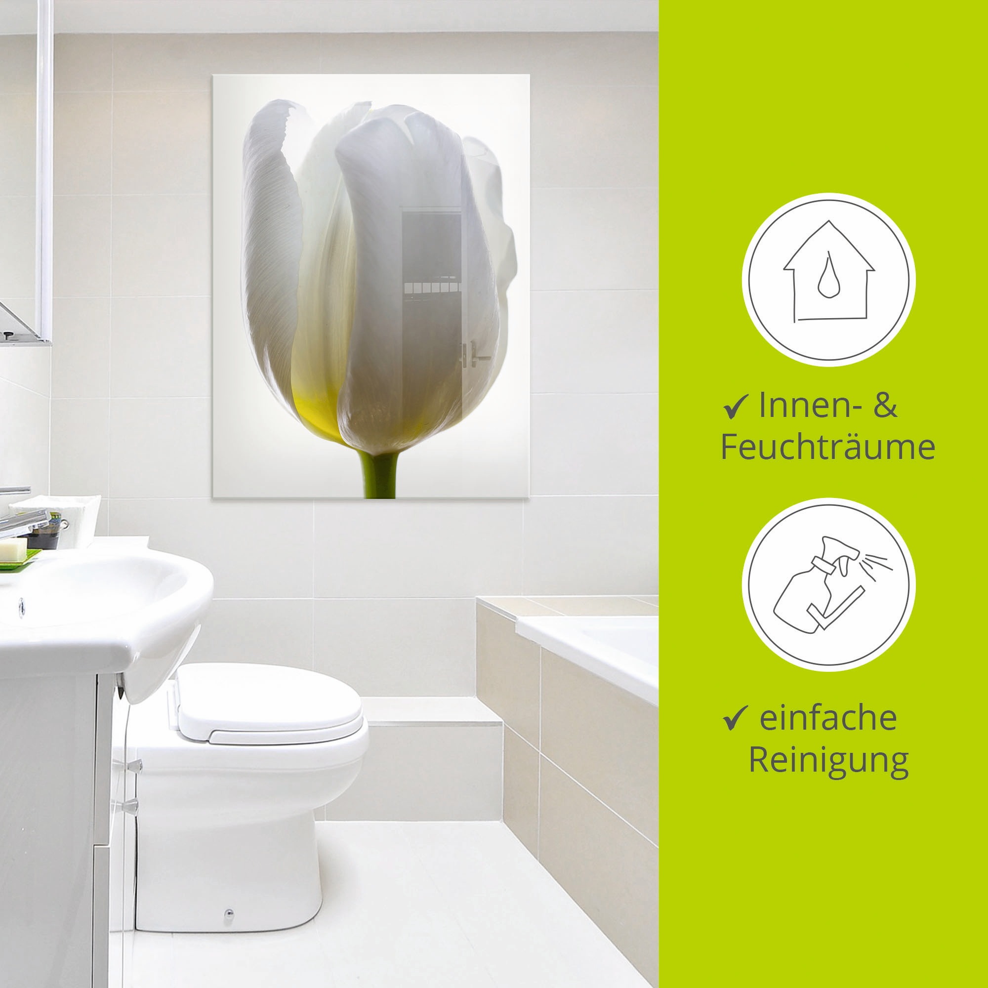 Artland Glasbild »Weiße Tulpe«, Blumen, (1 St.), in verschiedenen Größen