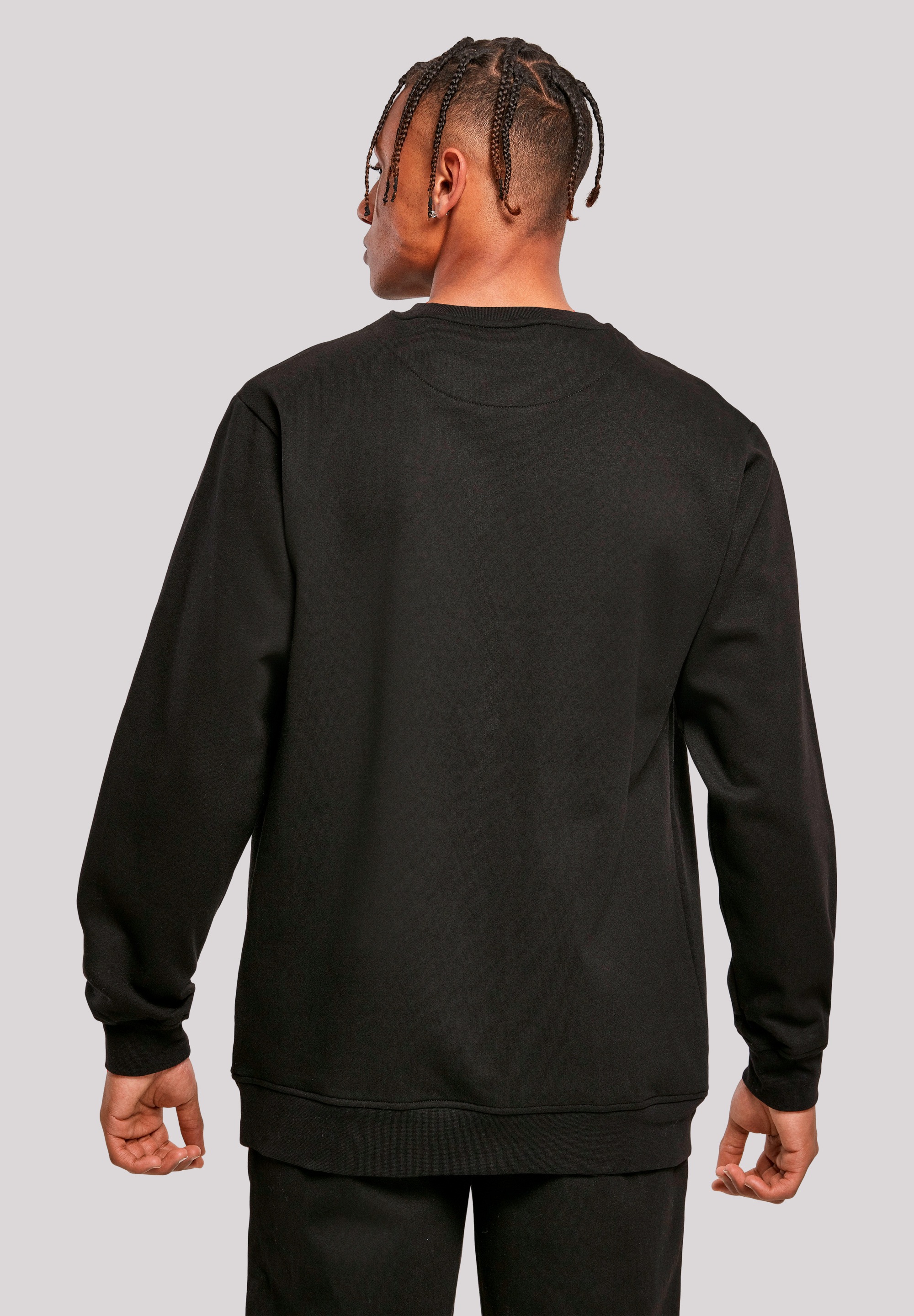 F4NT4STIC Sweatshirt »I Believe UFO Alien Sonnenuntergang«, Premium Qualität