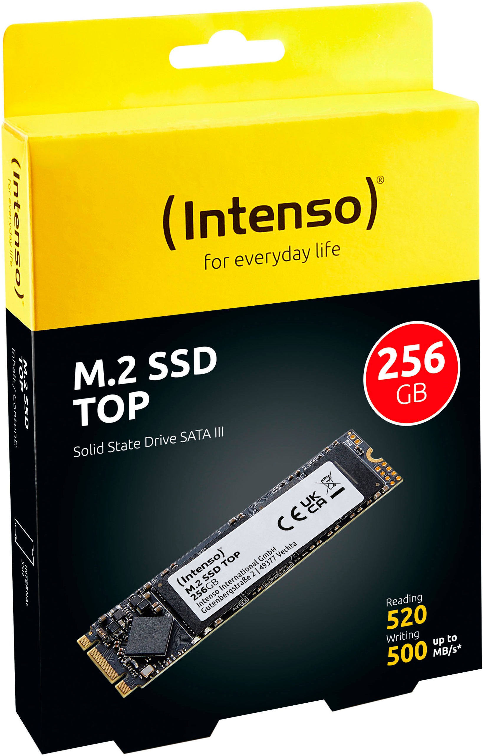 Intenso interne SSD »Top 256GB«, Anschluss M.2 (2880)