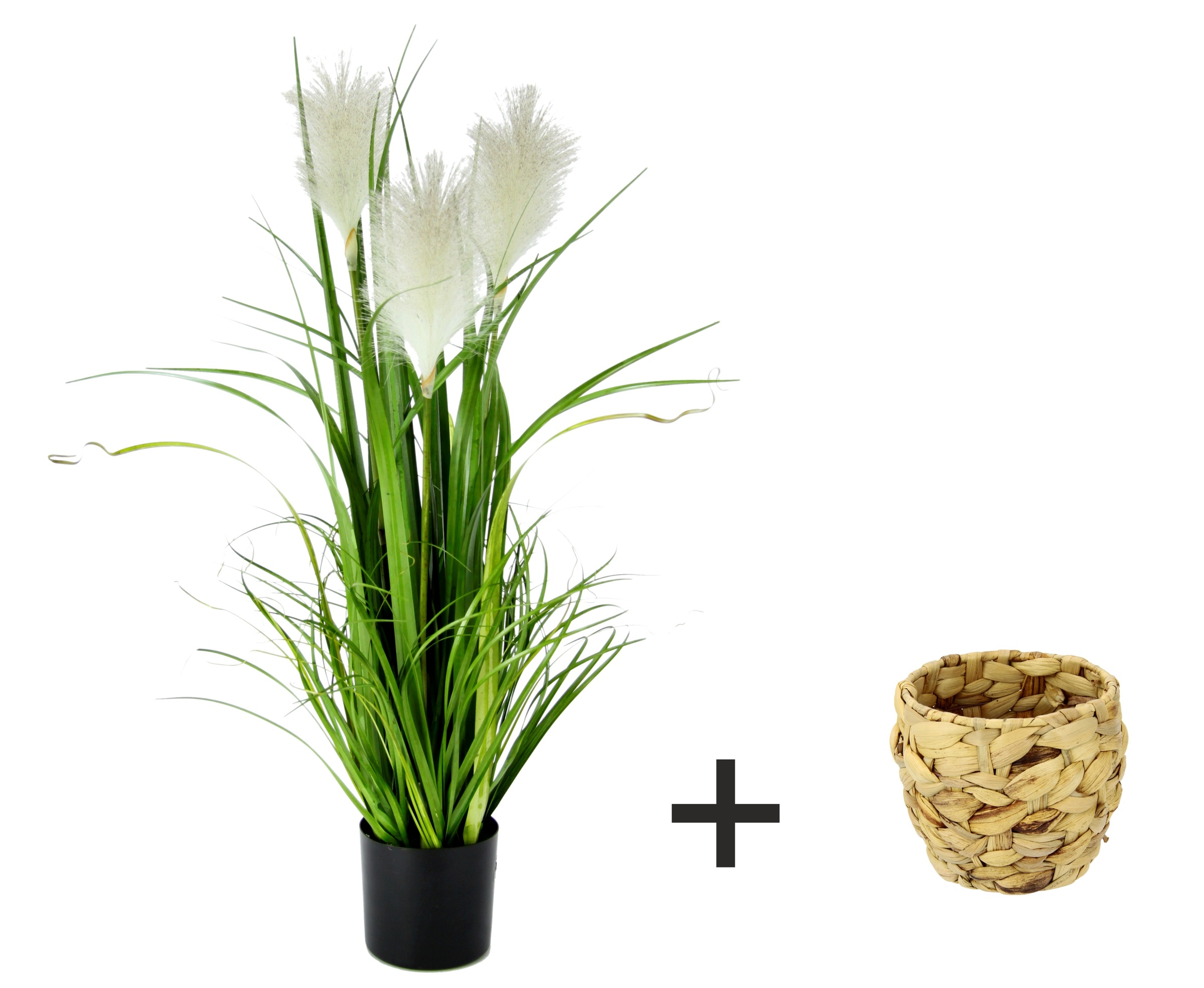 I.GE.A. Pampas Grass Artificial Plant White 22x80x22cm 2