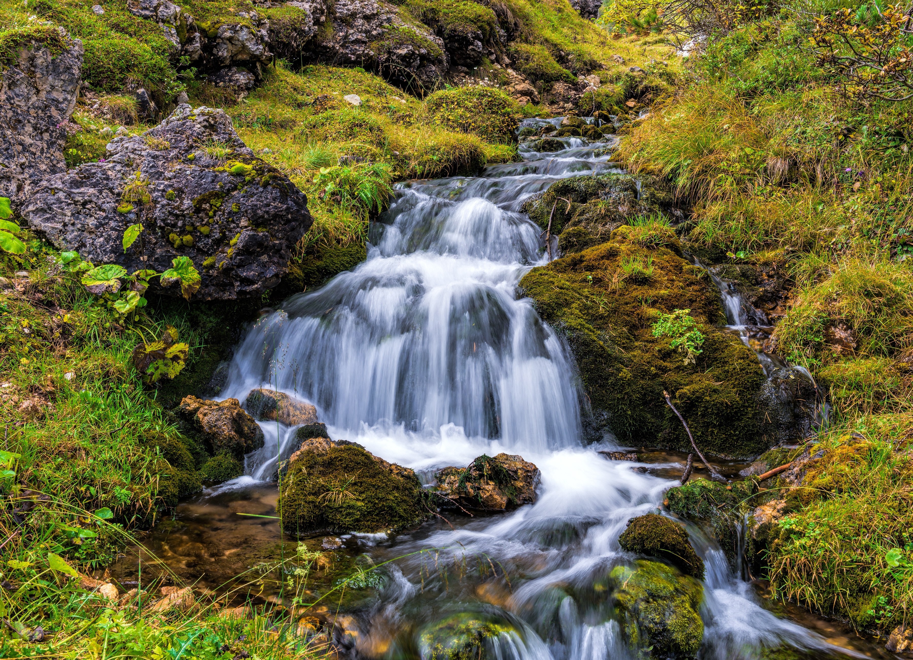 Papermoon Fototapete "Mountain Stream in Dolomites" glatt