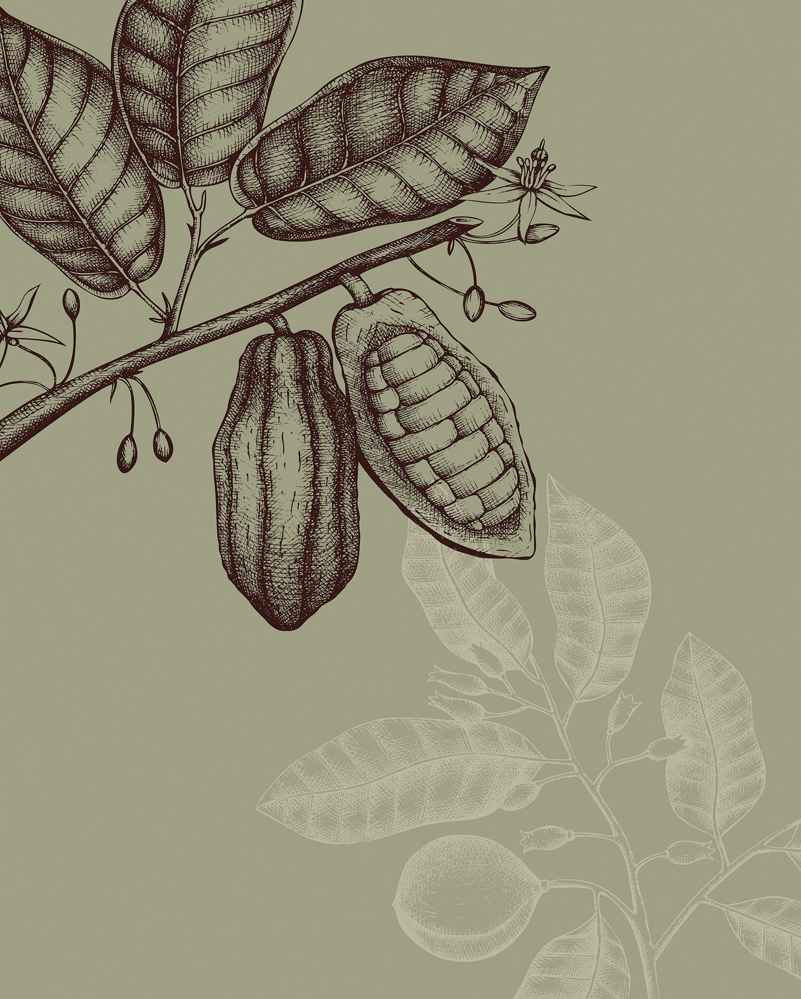 Komar Bild "Wild Cocoa" Natur 1 Stk. tlg. Wandbild zur Dekoration - ohne Ra günstig online kaufen