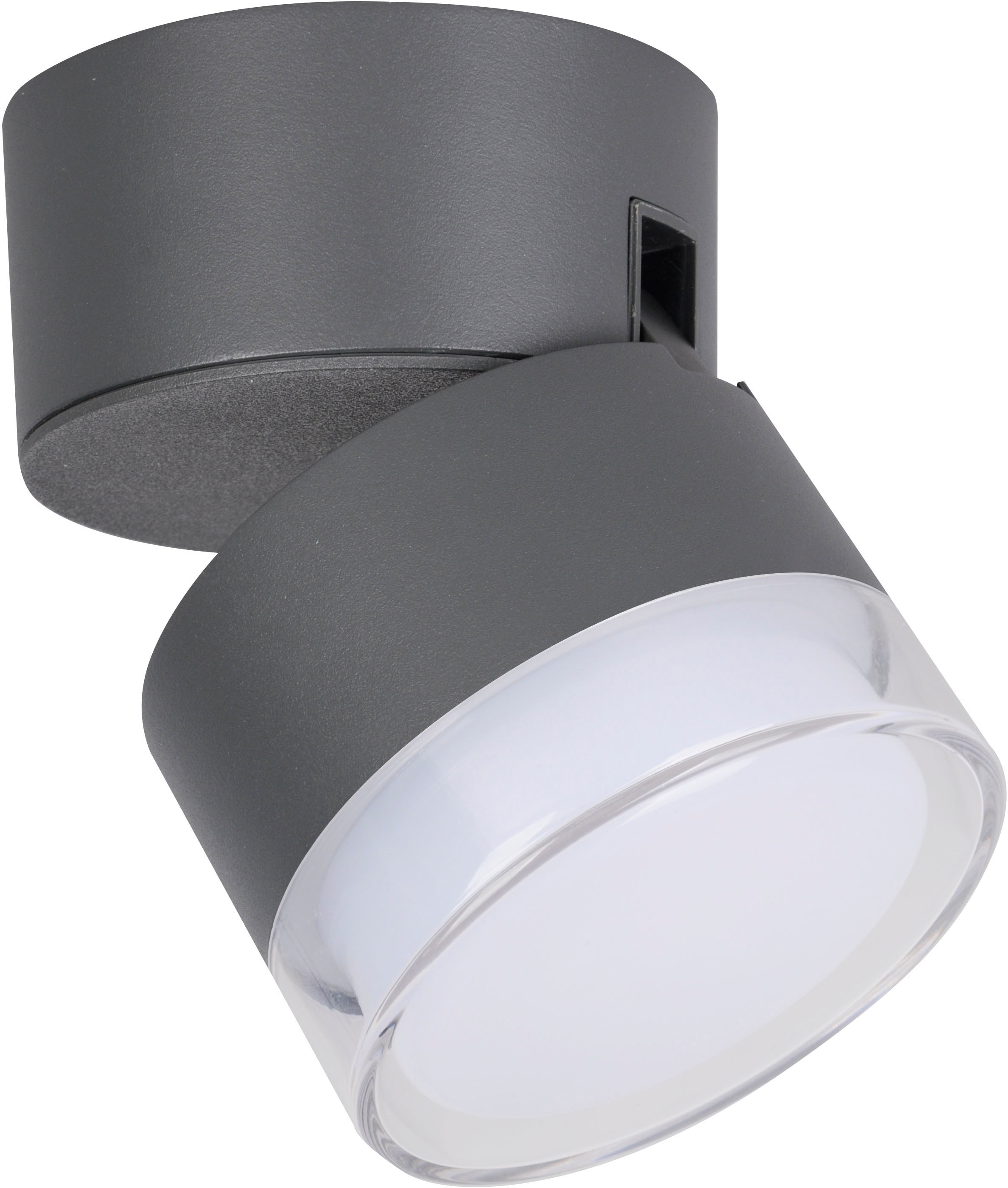 LUTEC Smarte LED-Leuchte bestellen | BAUR Smart-Home »DROPSI«