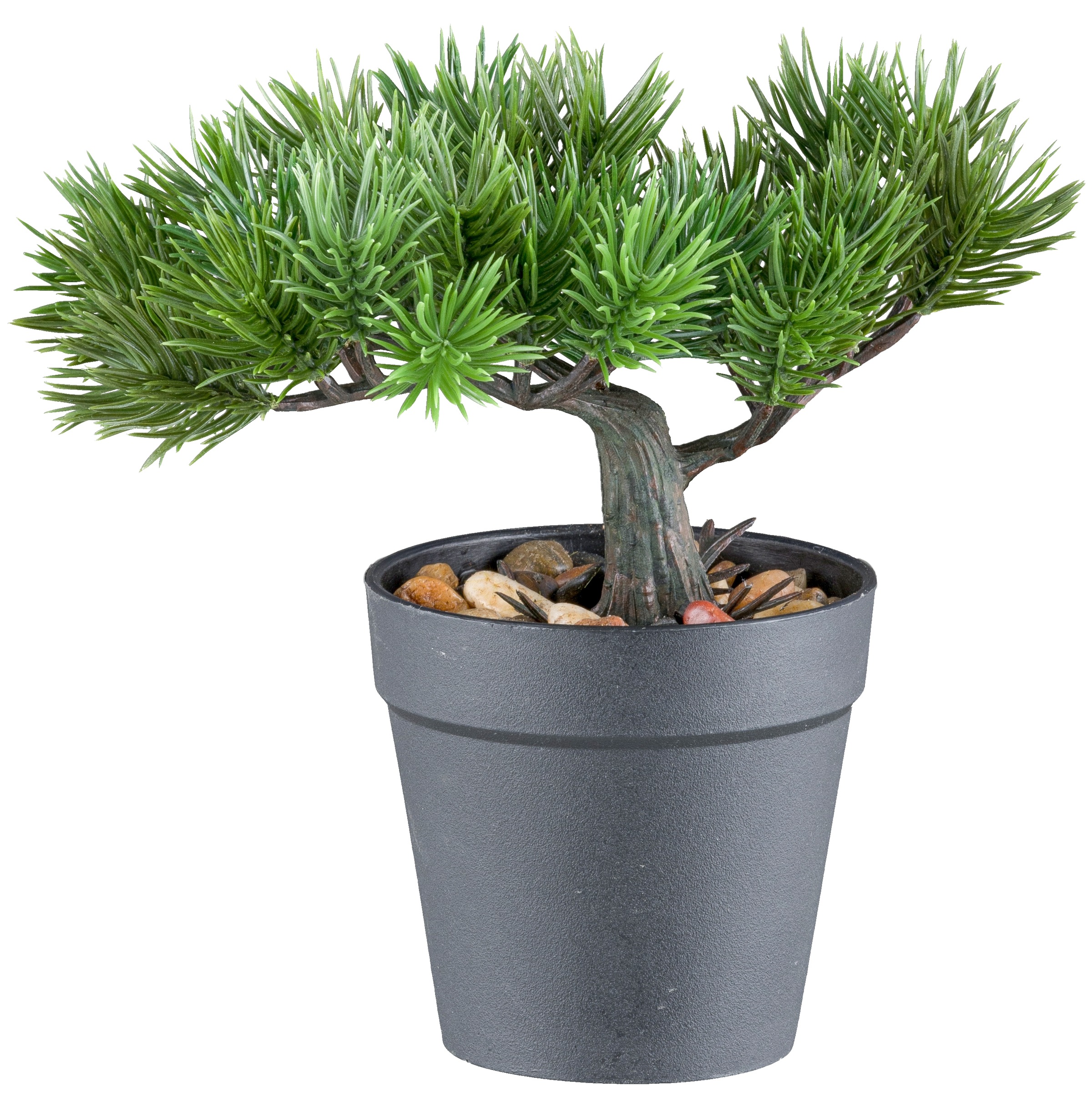 Creativ green Kunstbonsai "Bonsai Kiefer", mit 2 Ausführungen im Set günstig online kaufen