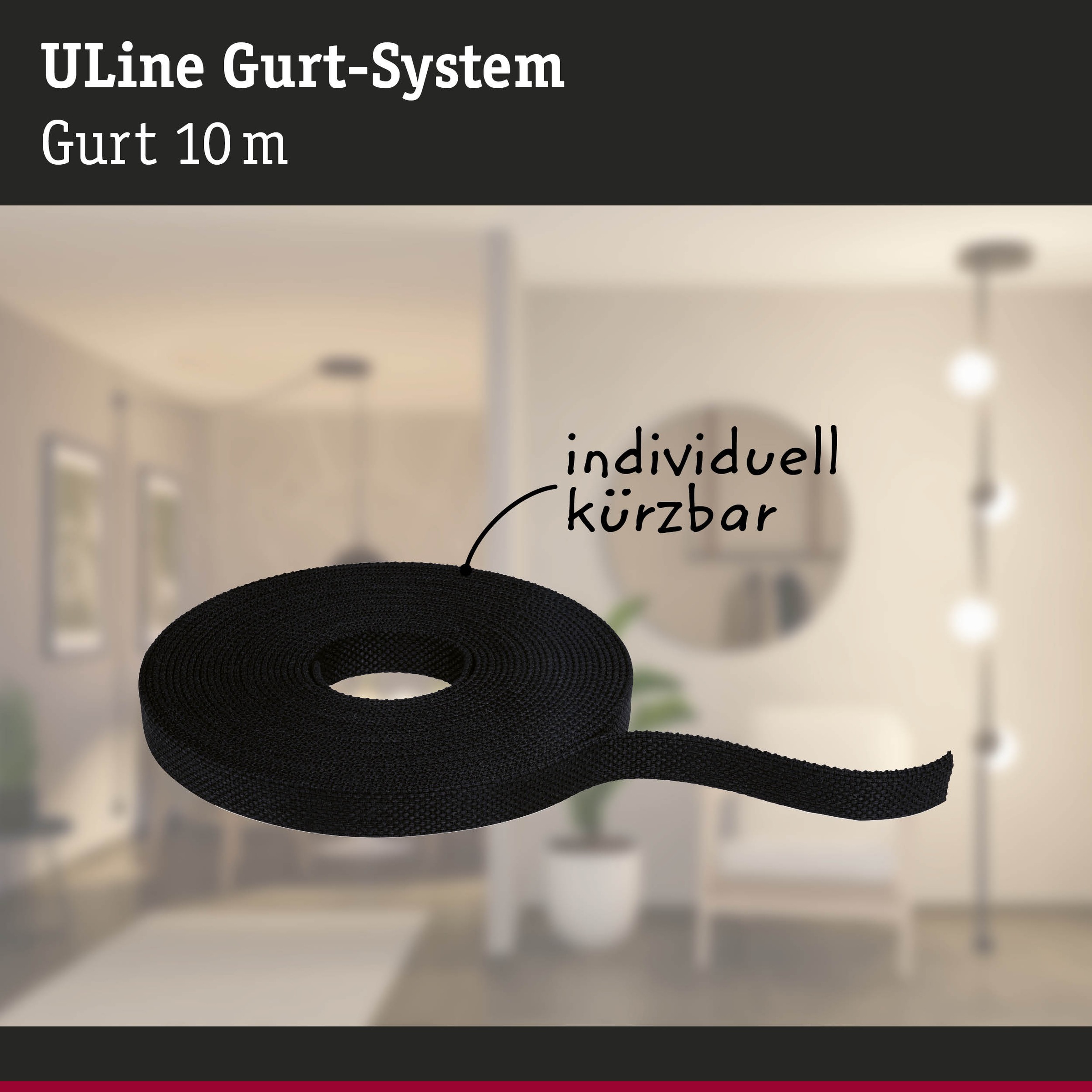 Paulmann Hängeleuchte »ULine Gurt Belt  10m« 1 Stk.