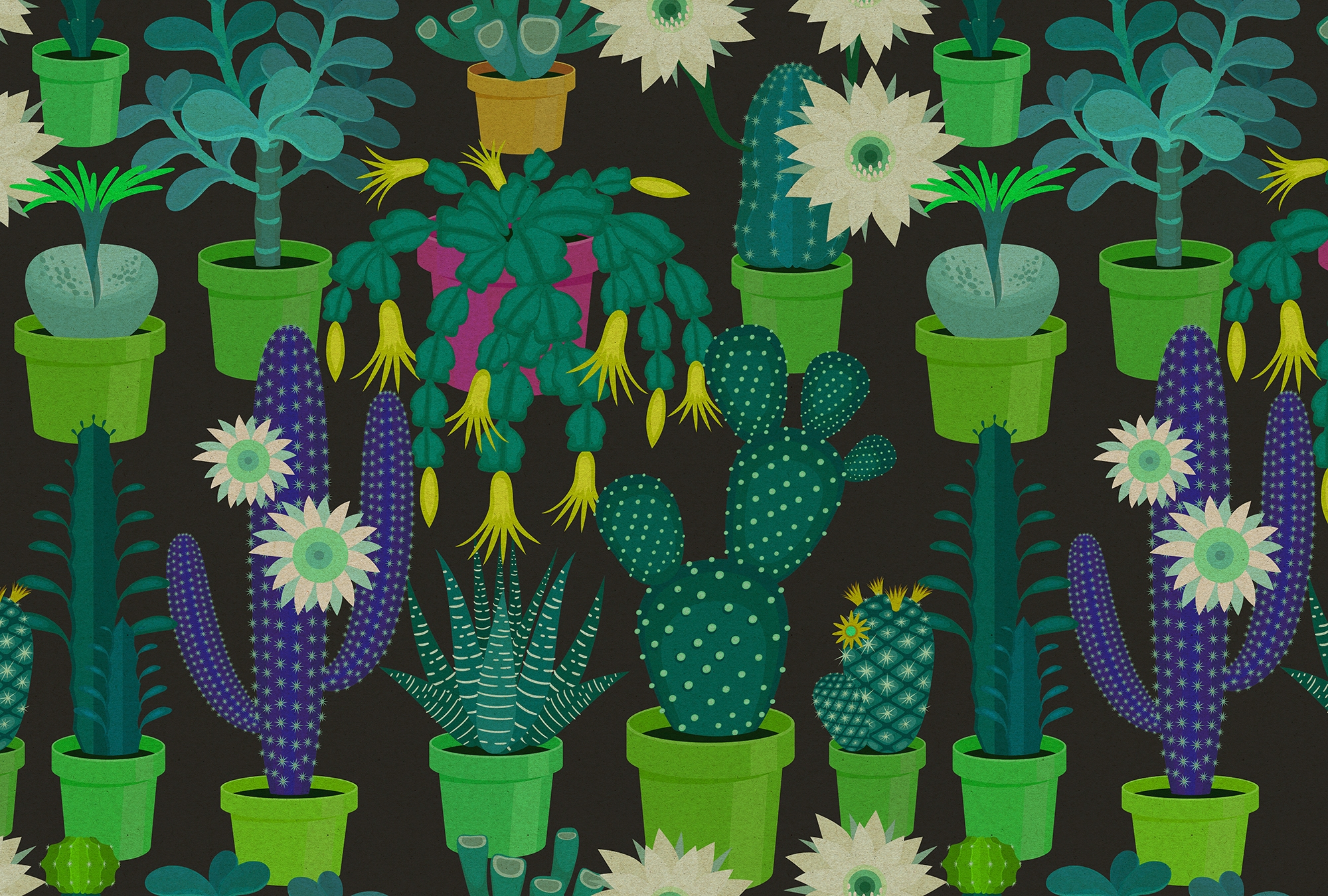 living walls Fototapetas »Walls by Patel Cactus Gar...