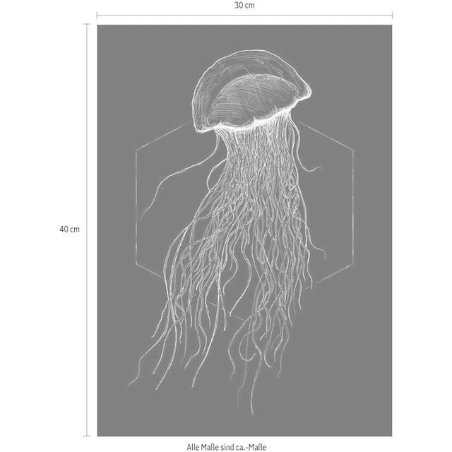 Komar Poster »Jellyfish Black«, Tiere, (1 St.), Kinderzimmer, Schlafzimmer,  Wohnzimmer | BAUR