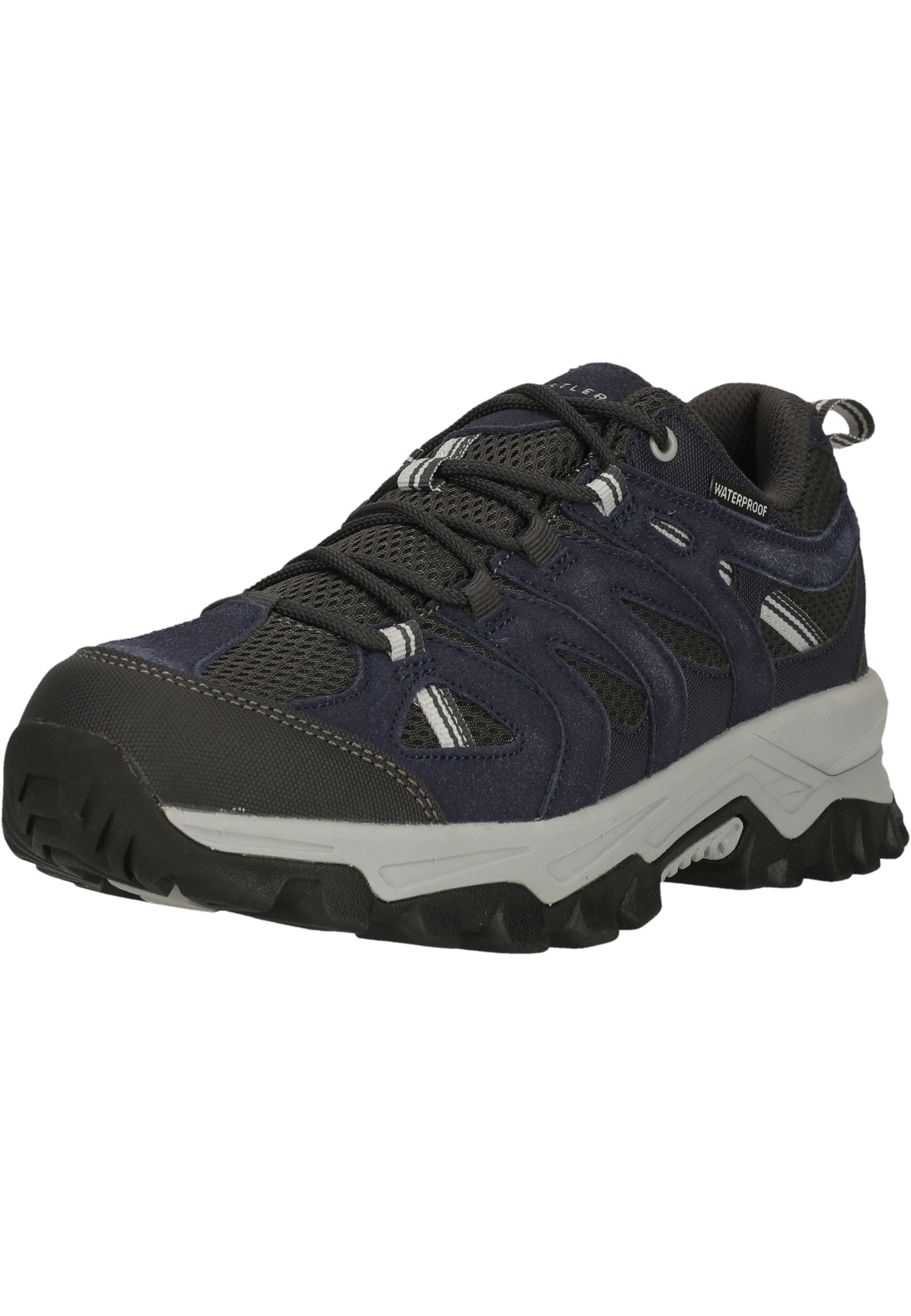 WHISTLER Outdoorschuh »Terx«  mit atmungsaktiver Funktion