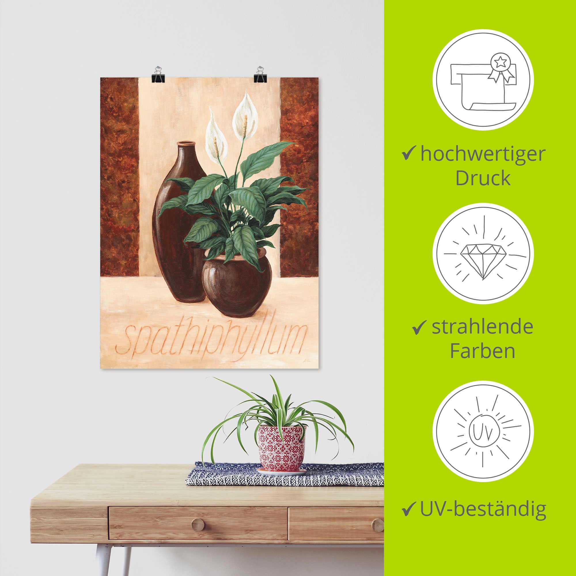 Artland Poster »Spathiphyllum - Einblatt«, Pflanzenbilder, (1 St.), als Alubild, Leinwandbild, Wandaufkleber oder Poster in versch. Größen