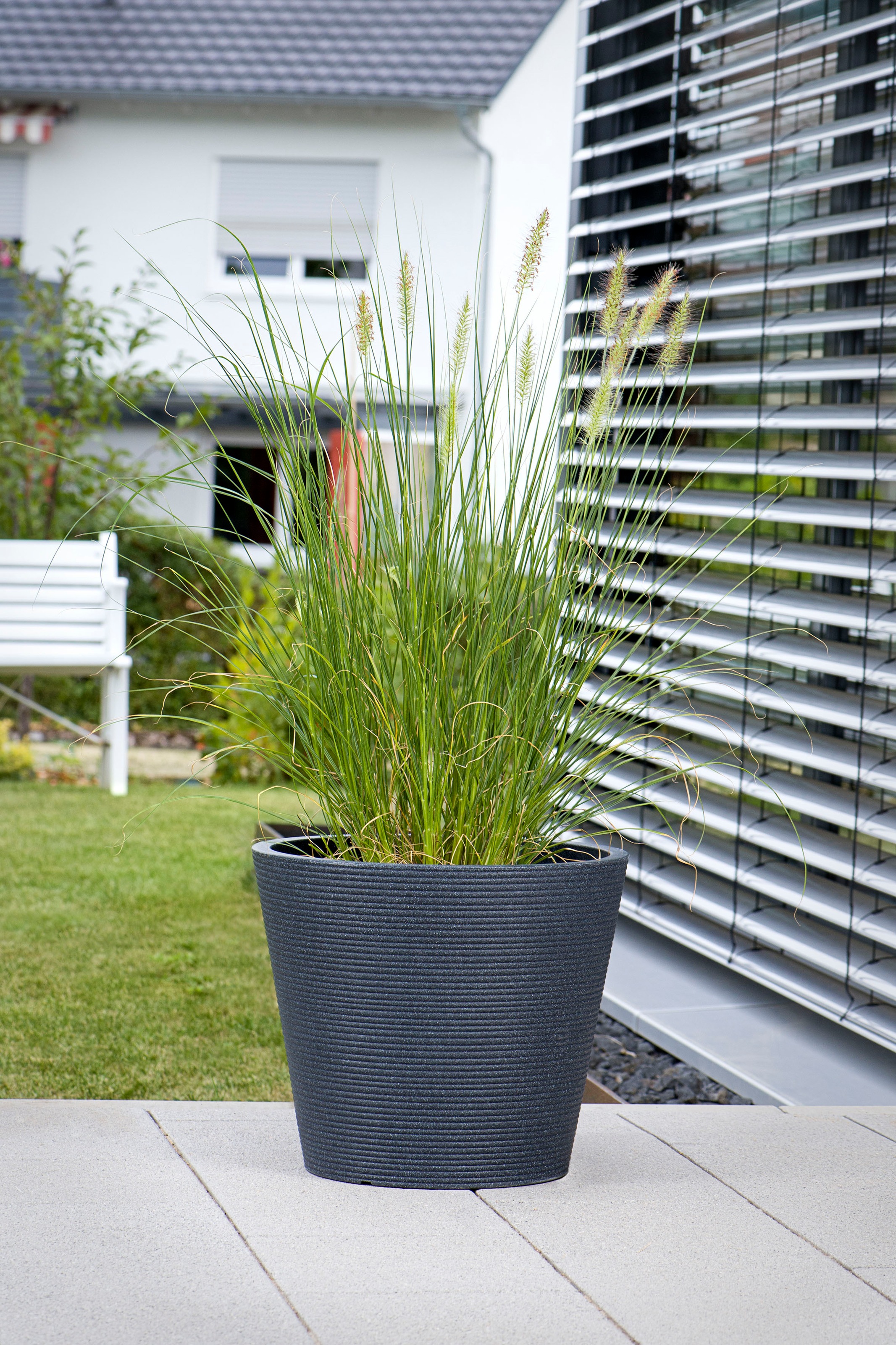 Scheurich Blumentopf »30/242 CONEO 30«