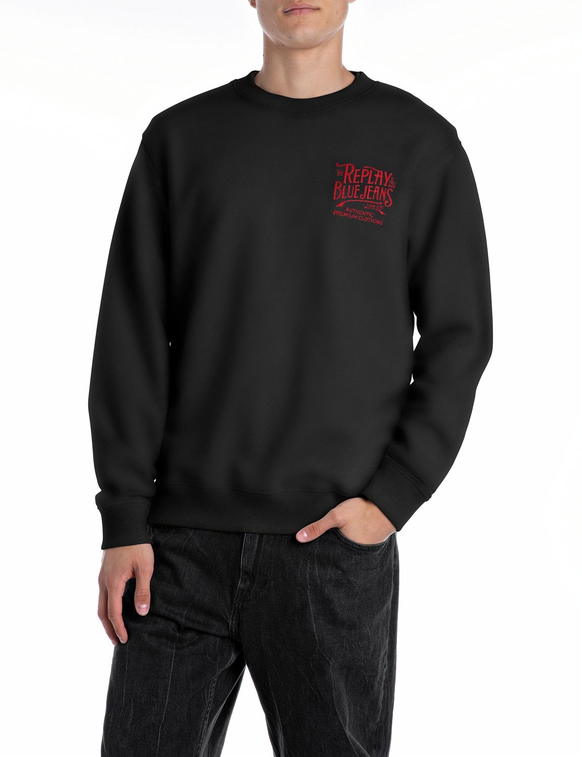 Replay Sweatshirt, mit Stickerei auf der Brust günstig online kaufen
