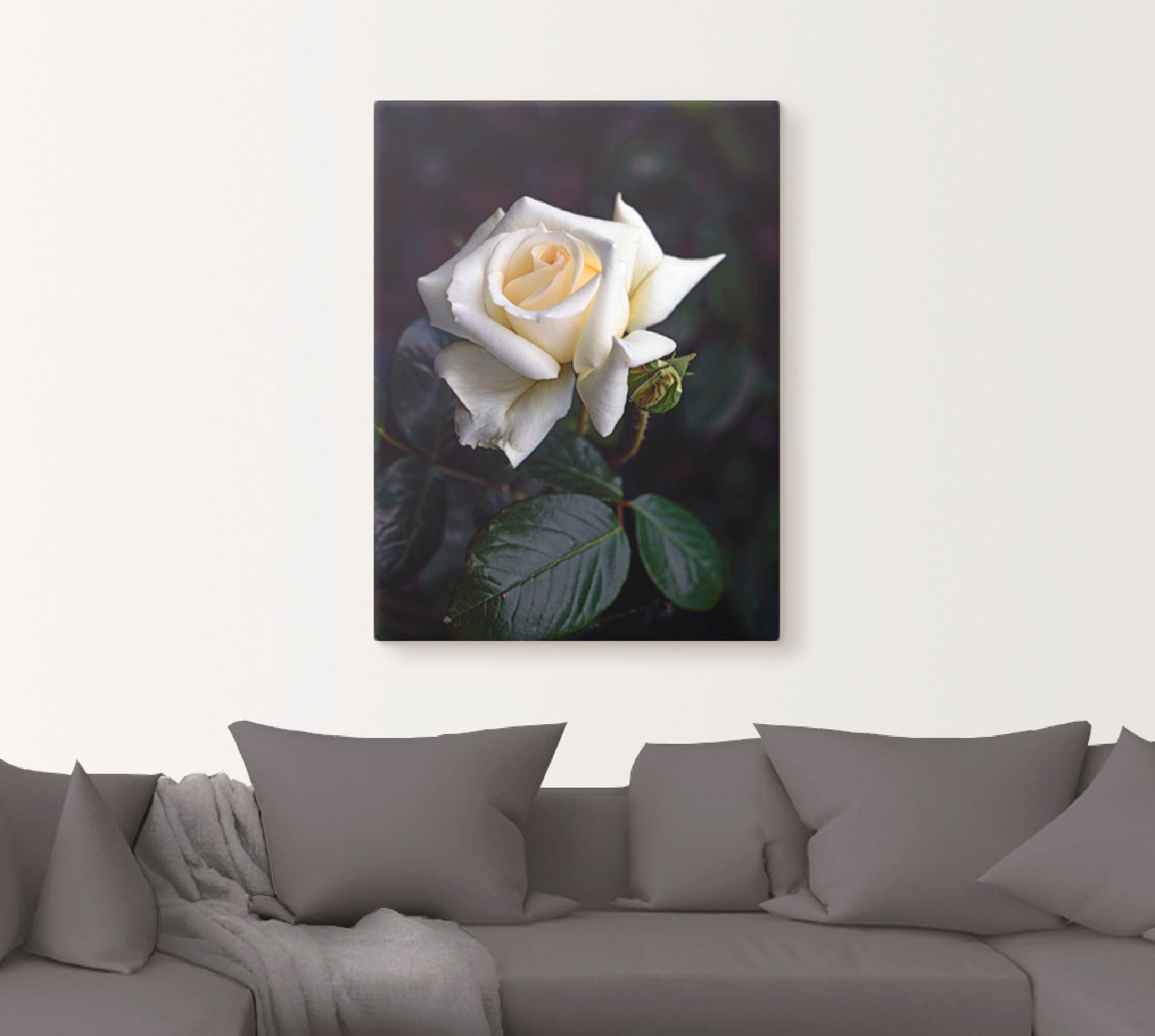 Artland Wandbild »Weiß-gelbe Rose«, Blumen, (1 St.), als Leinwandbild, Poster in verschied. Größen