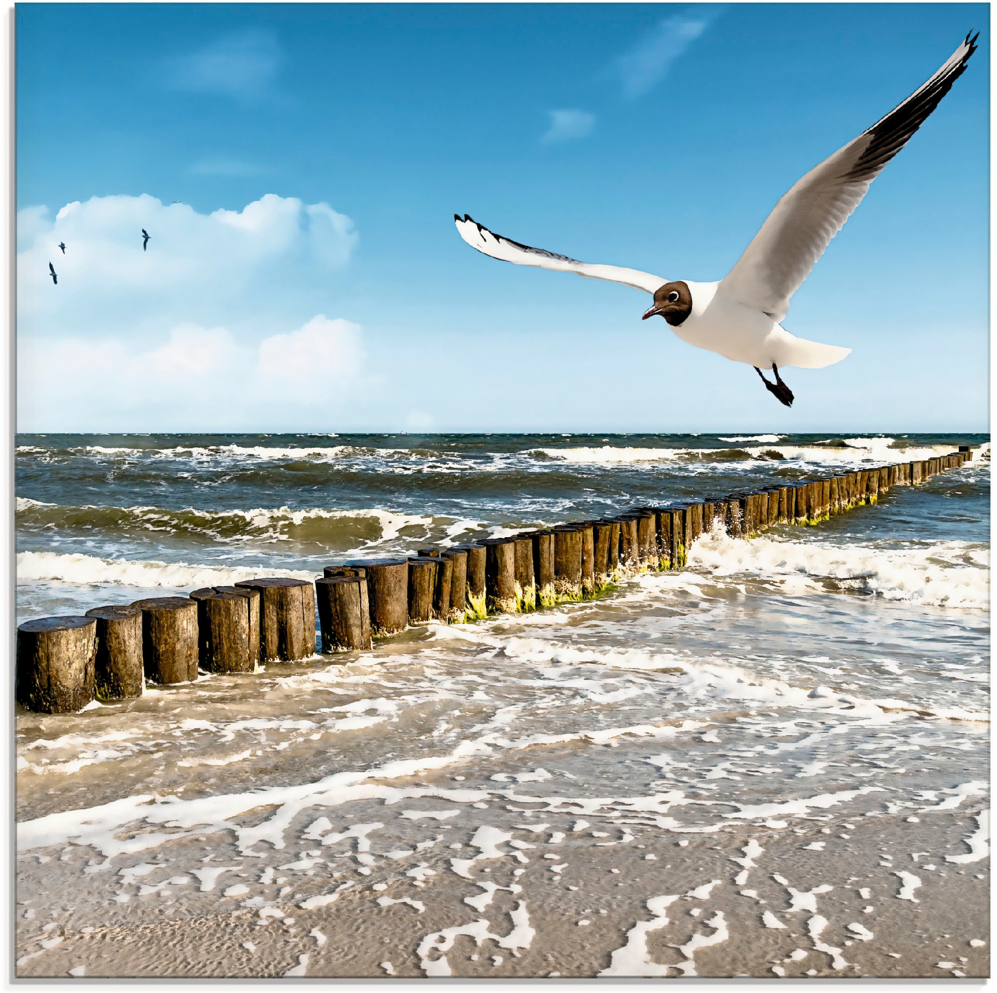 Artland Glasbild »Ostsee«, Gewässer, (1 St.), in verschiedenen Größen