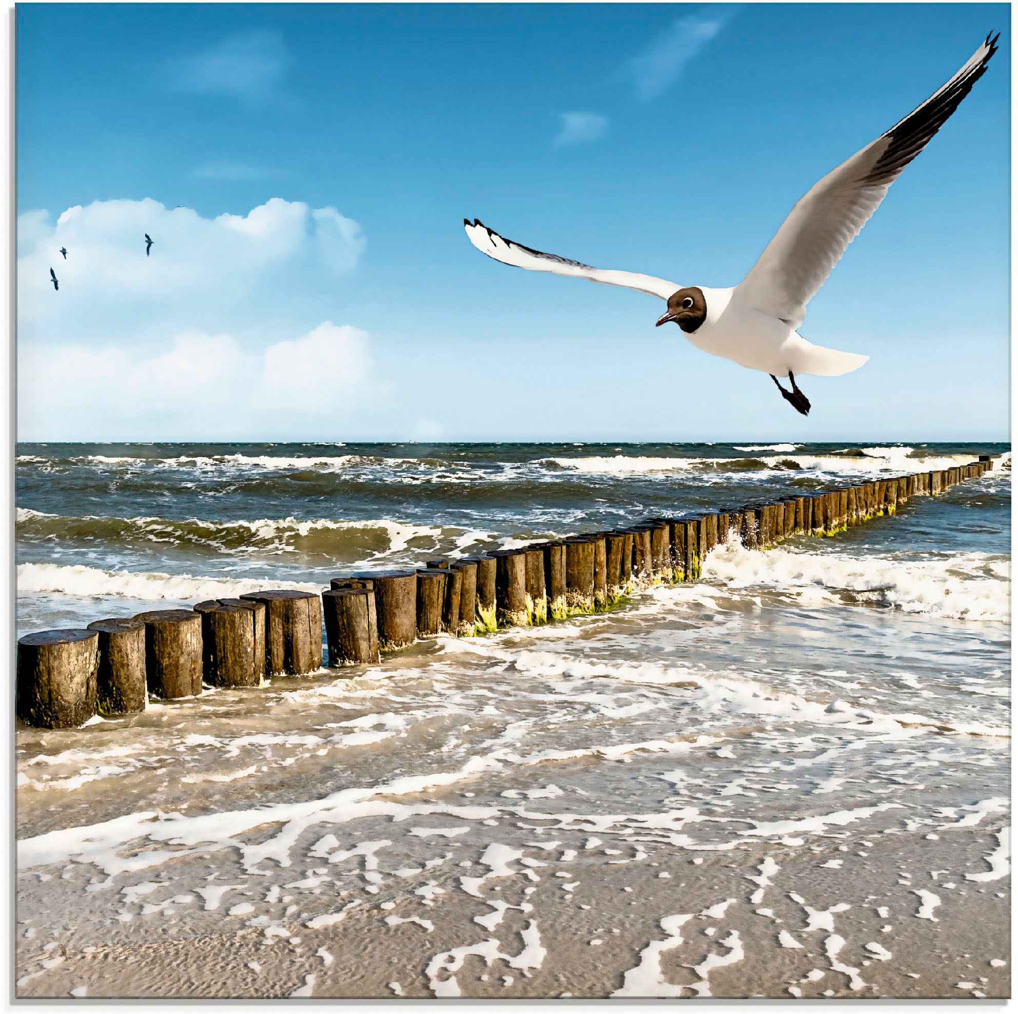 Artland Glasbild "Ostsee" Gewässer 1 Stk. tlg. in verschiedenen Größen