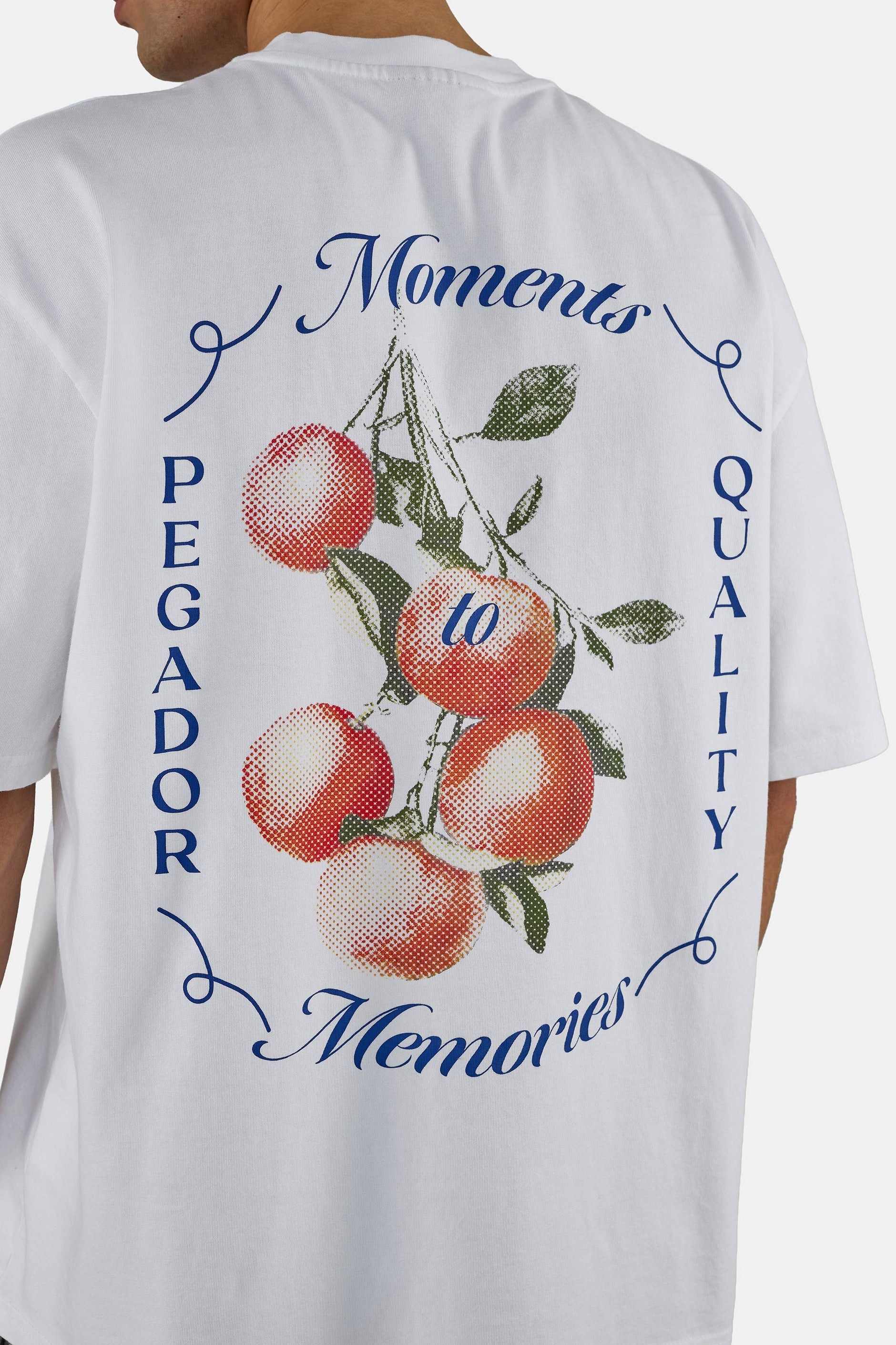 PEGADOR Frombork Oversized Tee T-Shirt White XXL 3