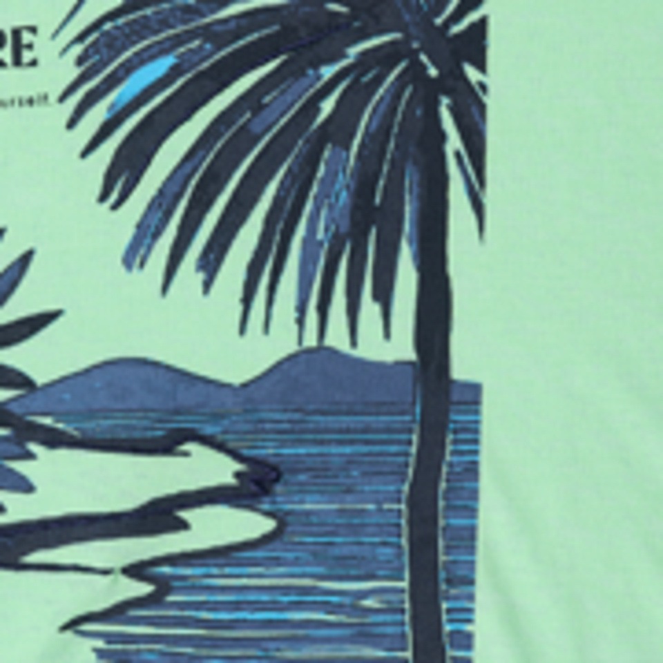 Cecil Print-Shirt mit Frontprint