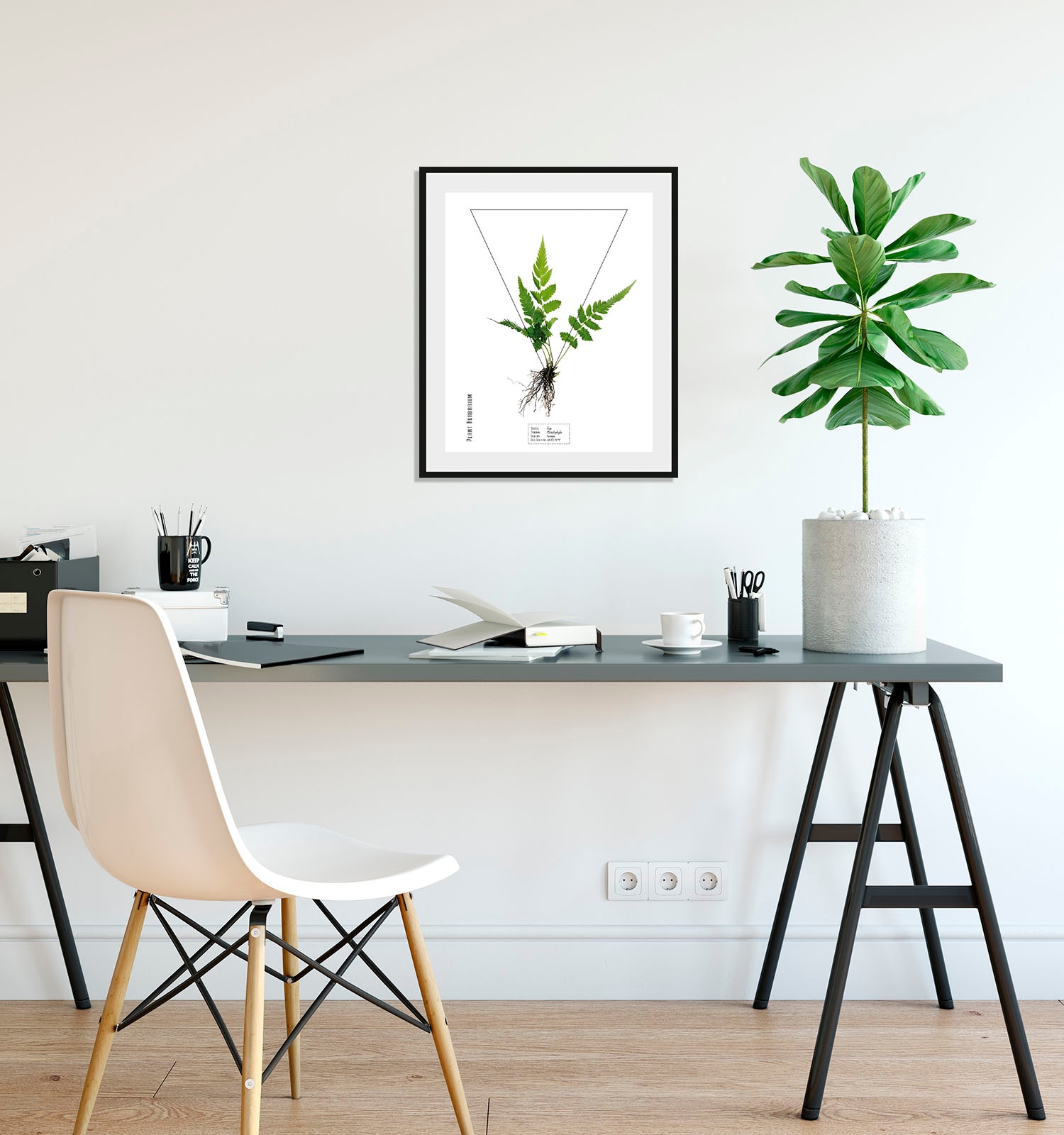 queence Bild "Pteridophyta", Pflanzen-Pflanzenbilder-Schriftzug, (1 St.), H günstig online kaufen