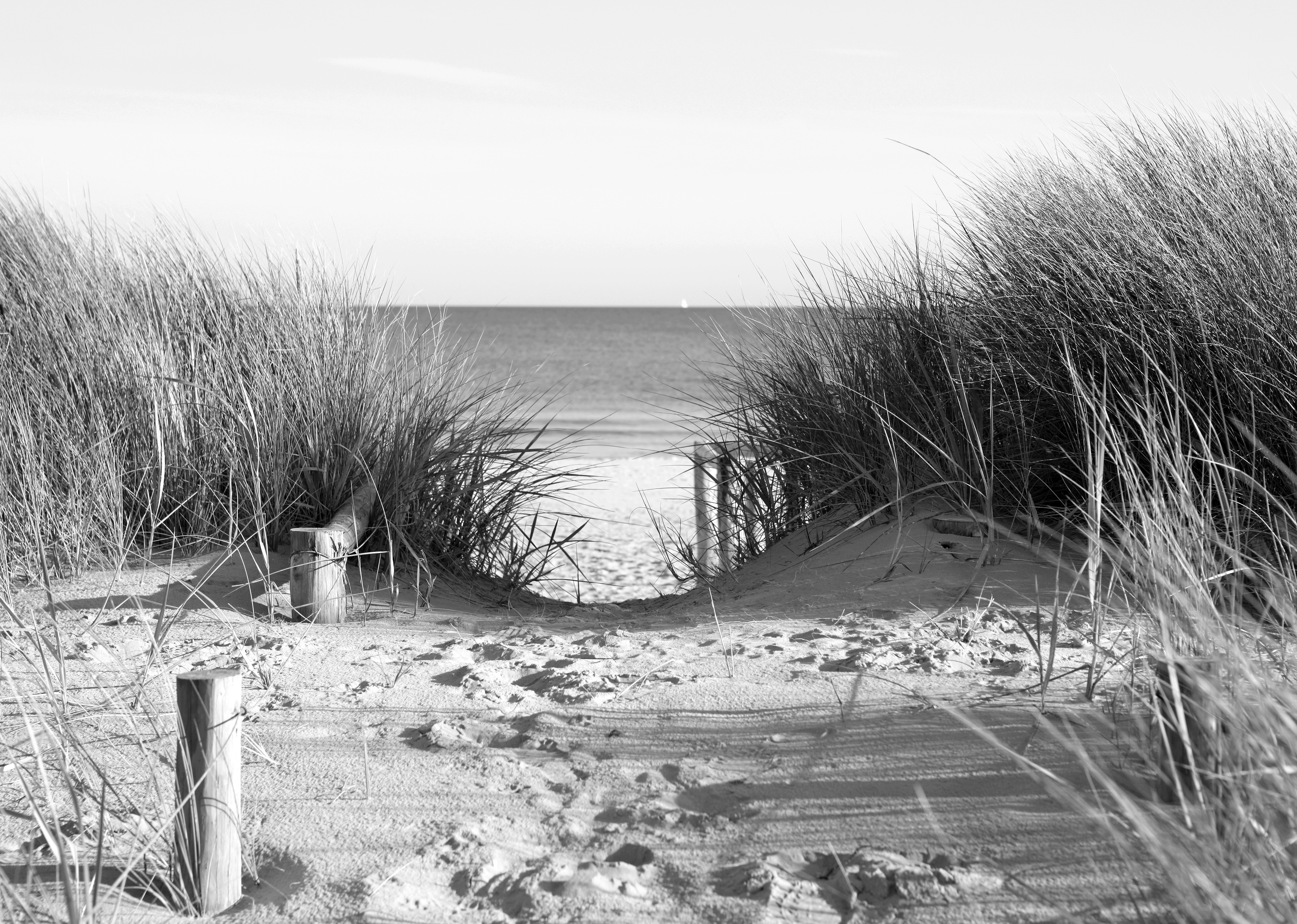 Papermoon Fototapete "Strand Schwarz & Weiß"