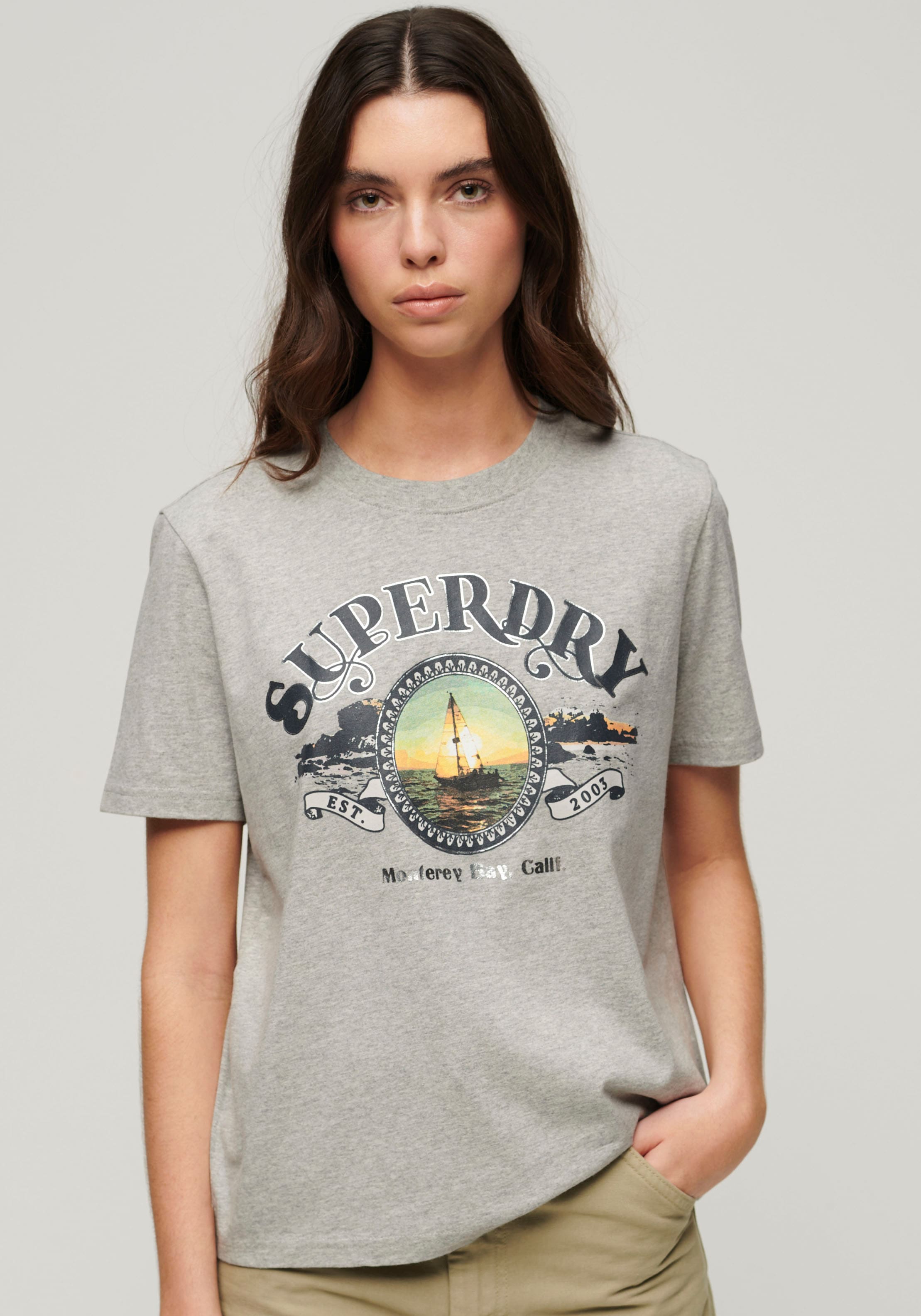 Superdry Print-Shirt "TRAVEL SOUVENIR RELAXED TEE"