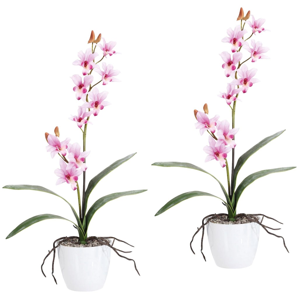 Creativ green Kunstpflanze »Orchidee Dendrobie«