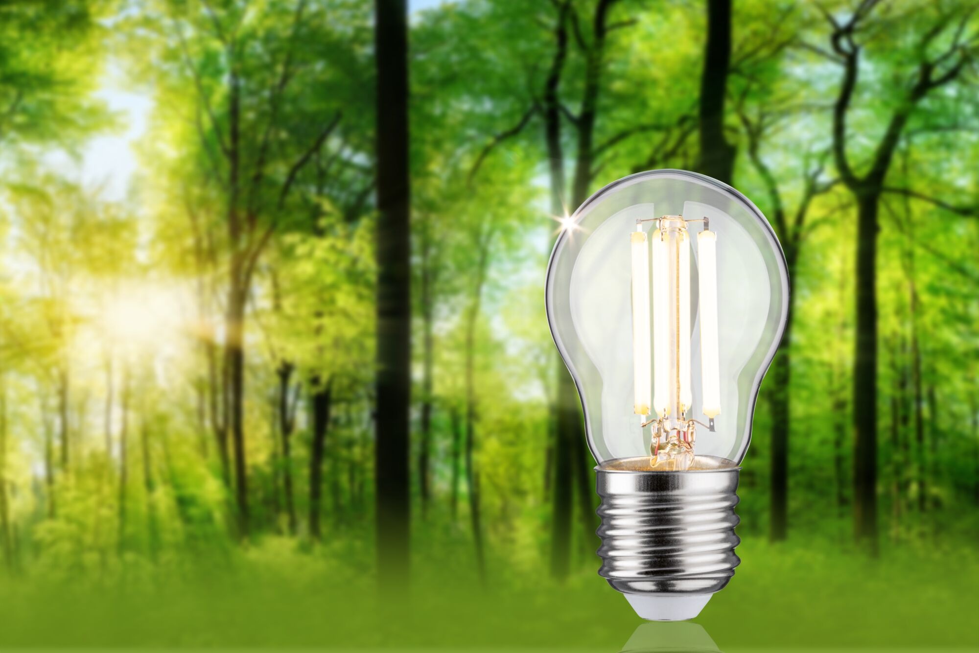 Paulmann LED-Leuchtmittel »Eco-Line Tropfen 525lm 2,5W 3000K klar 230V« E27 1 Stk. Warmweiß