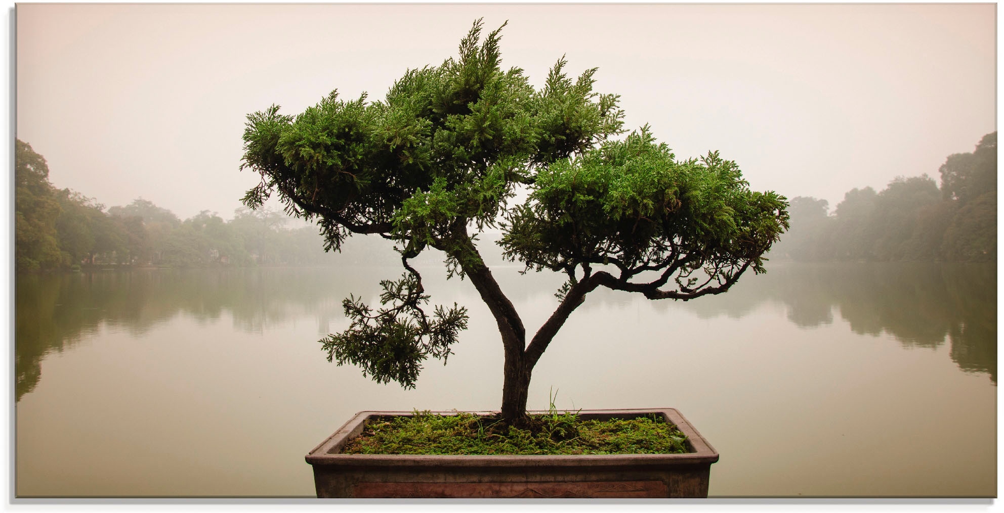 Artland Glasbild "Chinesischer Bonsaibaum", Bäume, (1 St.), in verschiedenen Größen