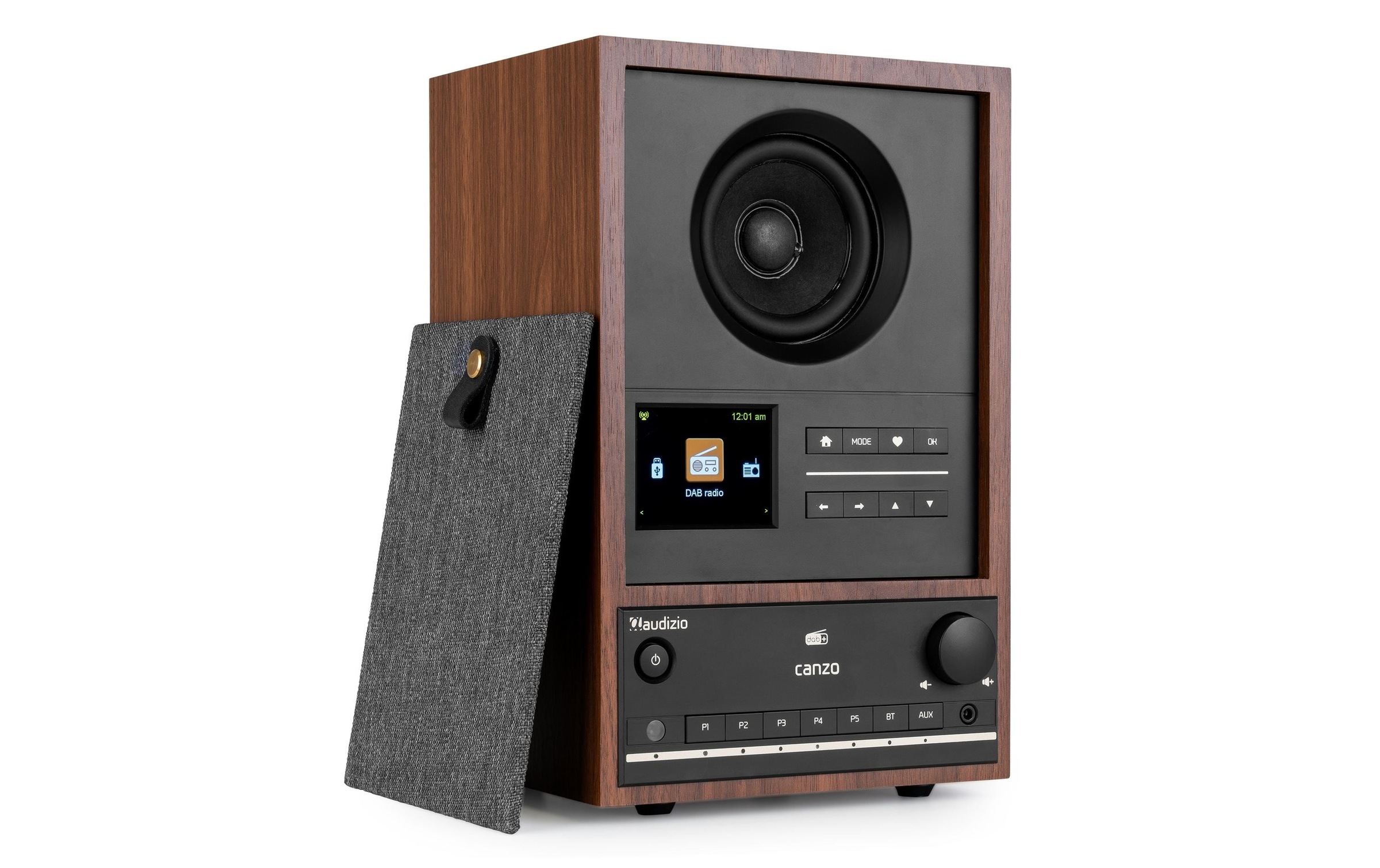 AUDIZIO Digitalradio (DAB+) »Internet Canzo« ( )